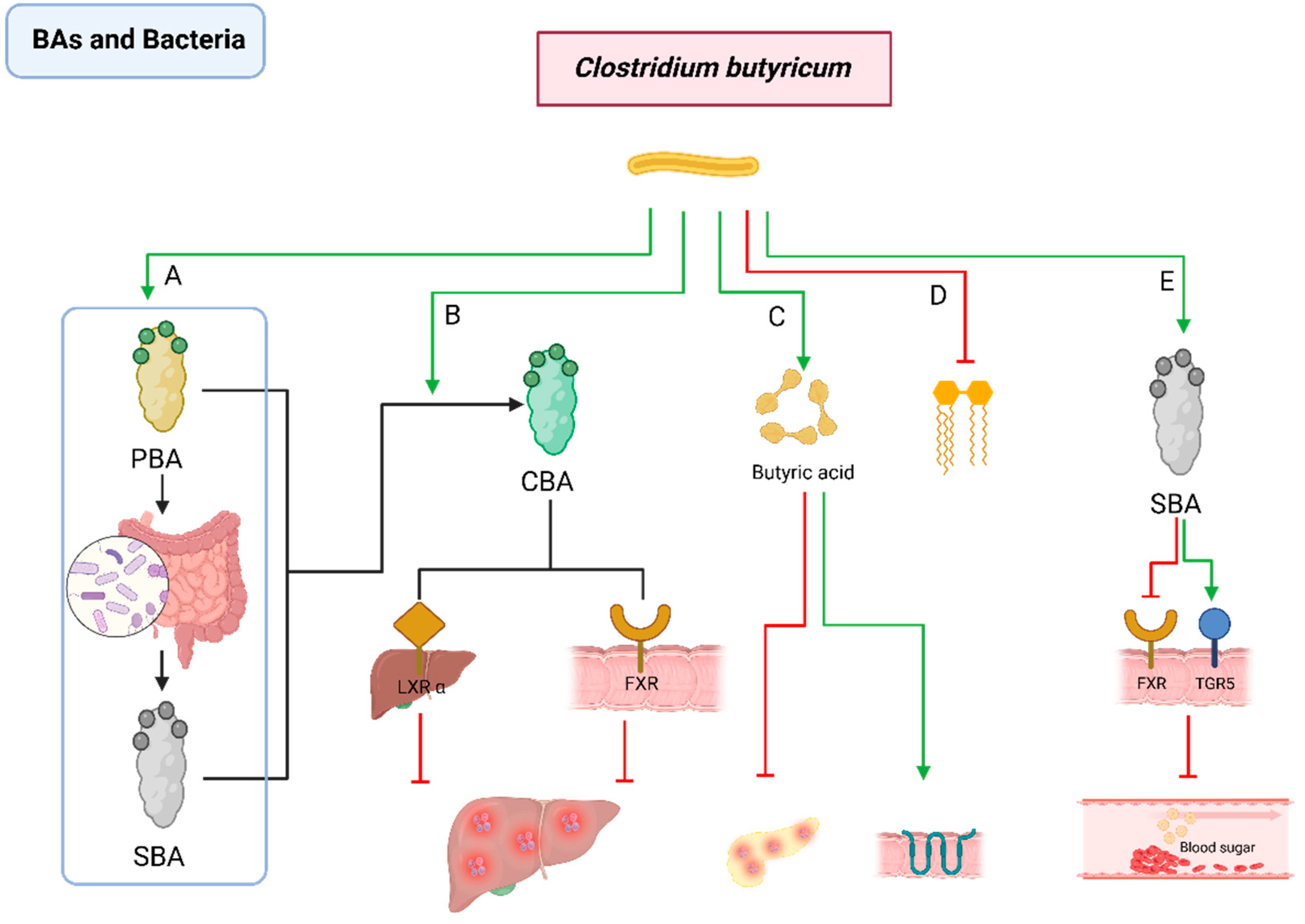 Pathogens 13 00702 g007
