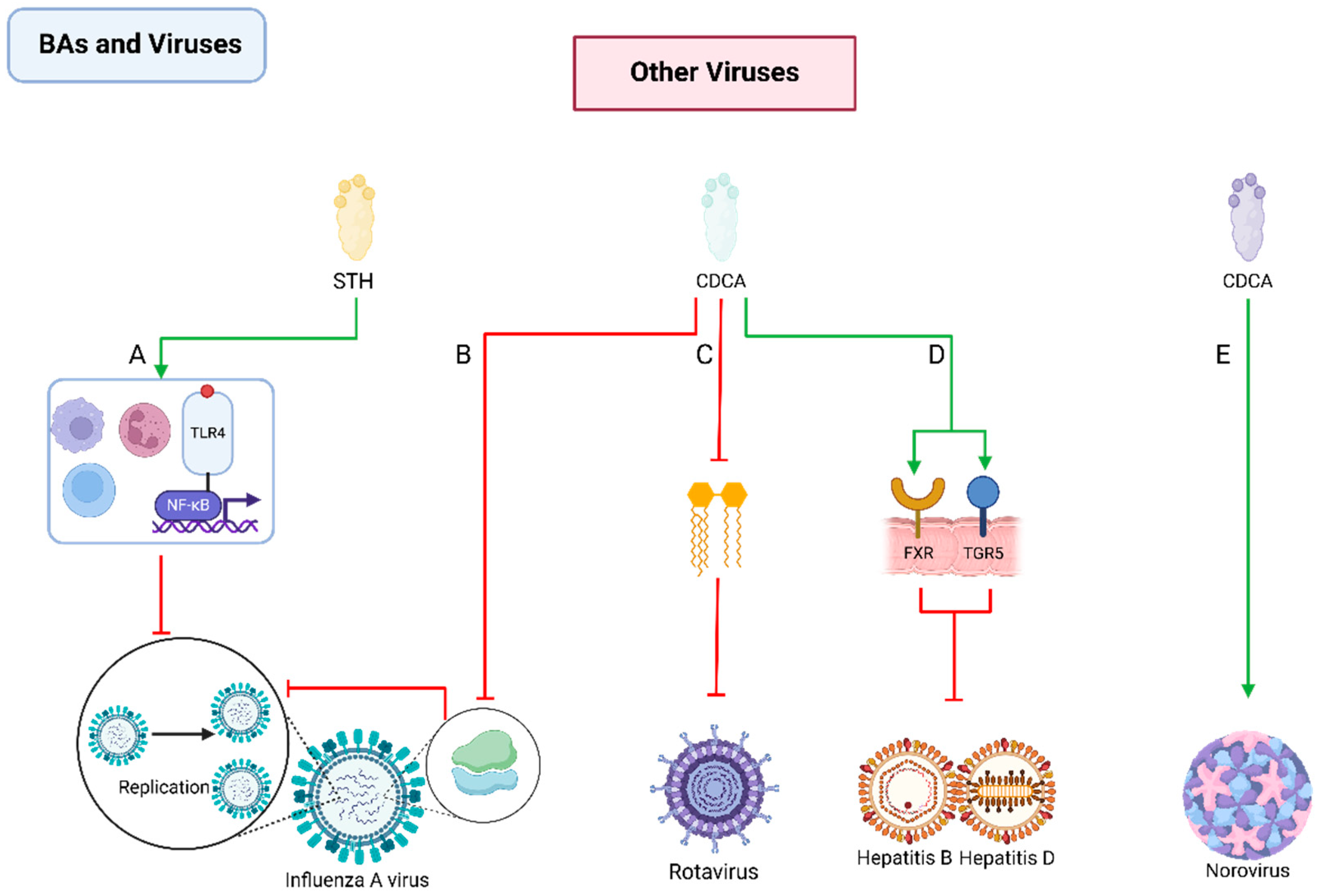 Pathogens 13 00702 g009