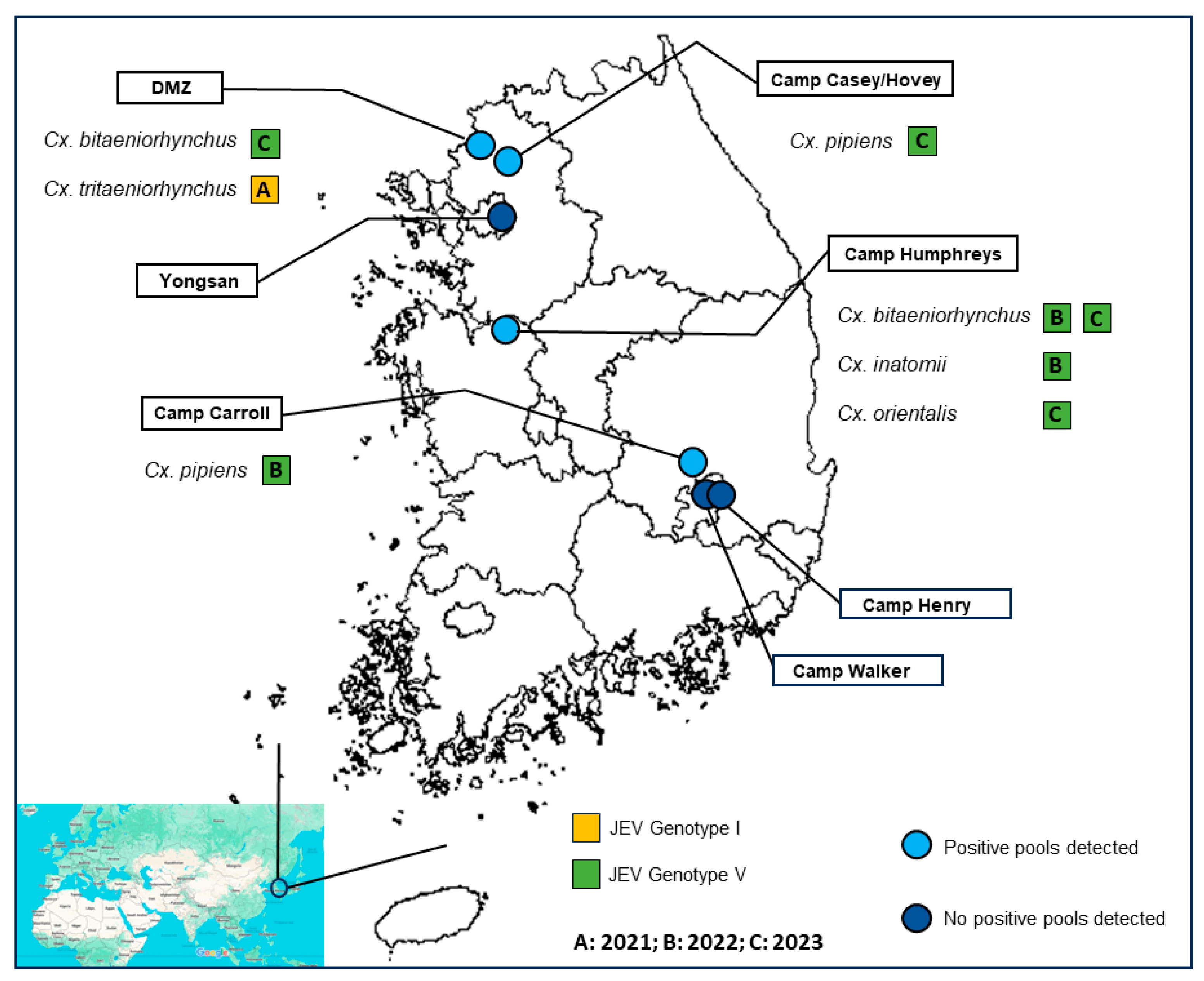 Pathogens 13 00705 g001