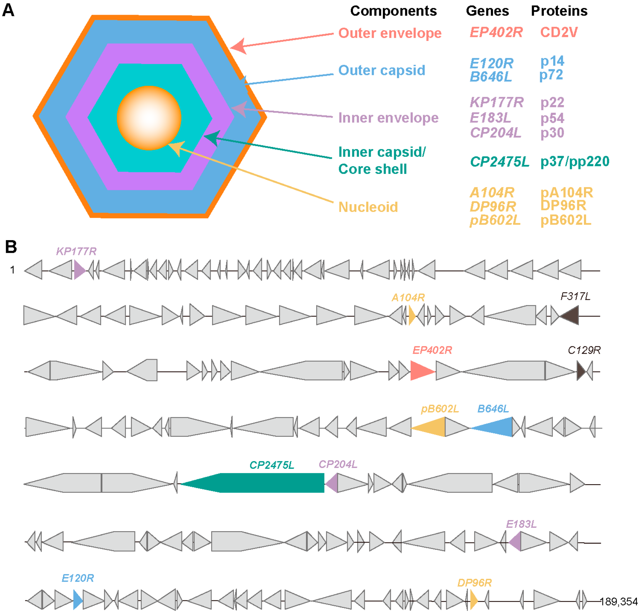 Pathogens 13 00706 g001