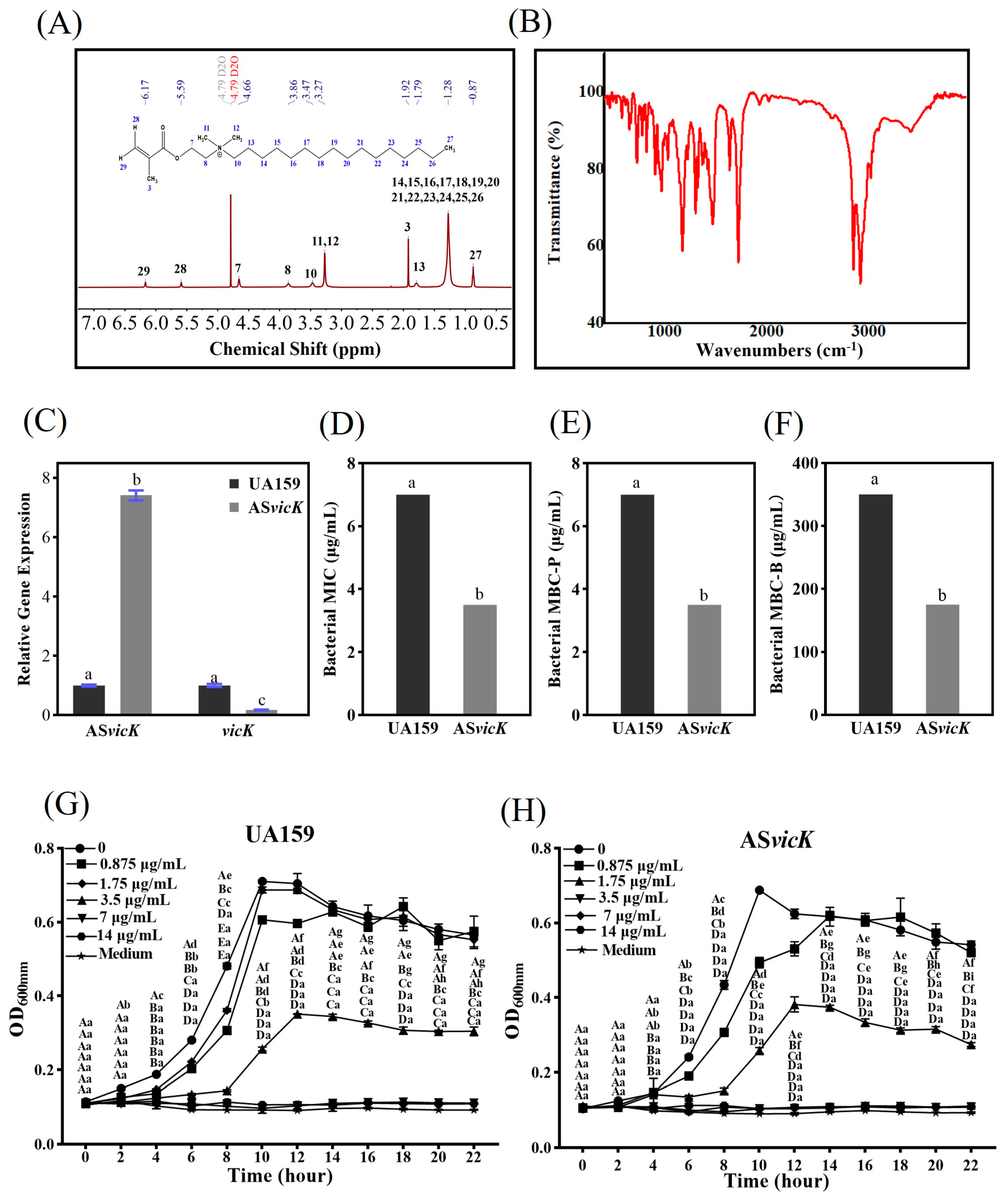 Pathogens 13 00707 g002