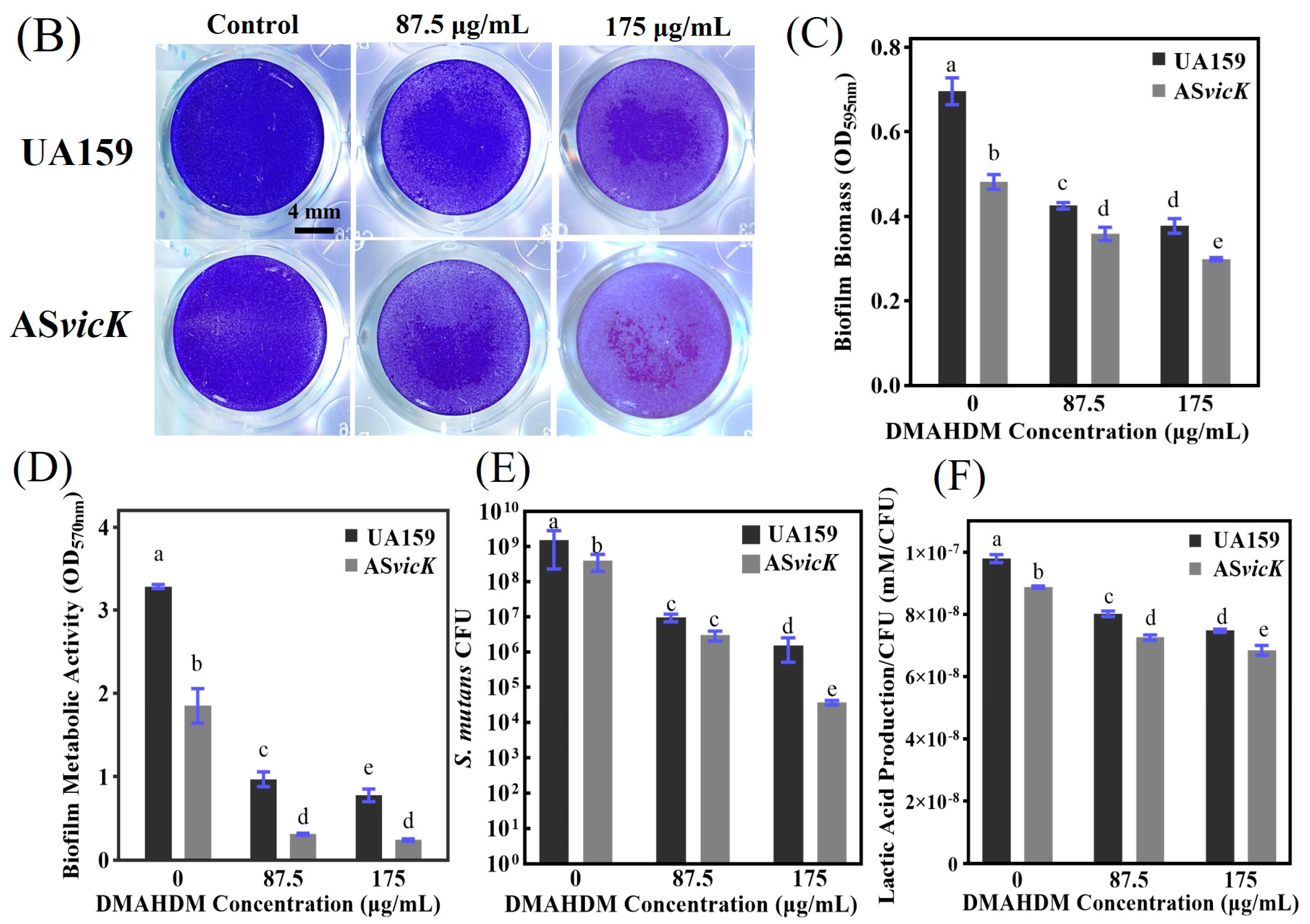 Pathogens 13 00707 g004b