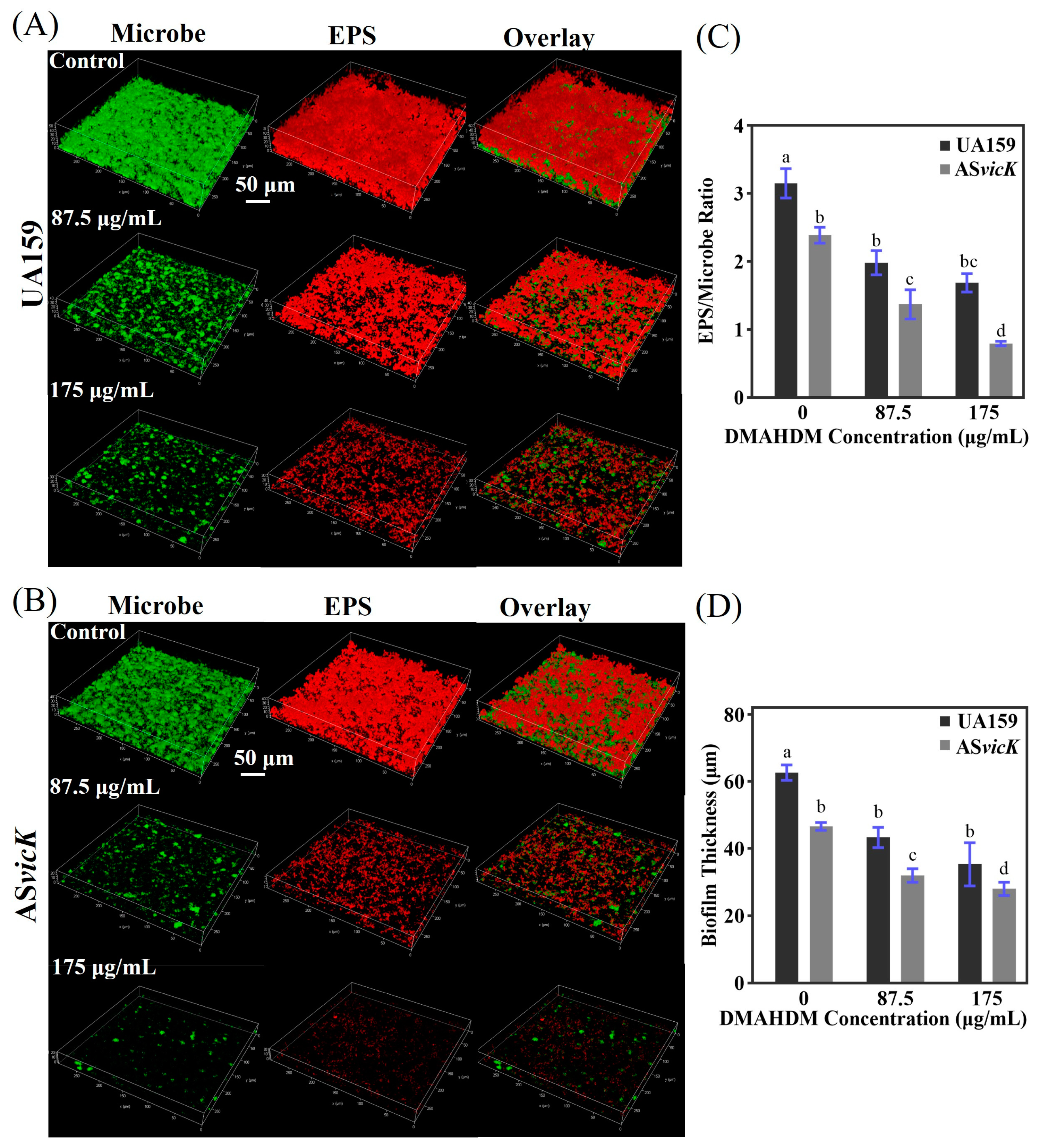 Pathogens 13 00707 g005