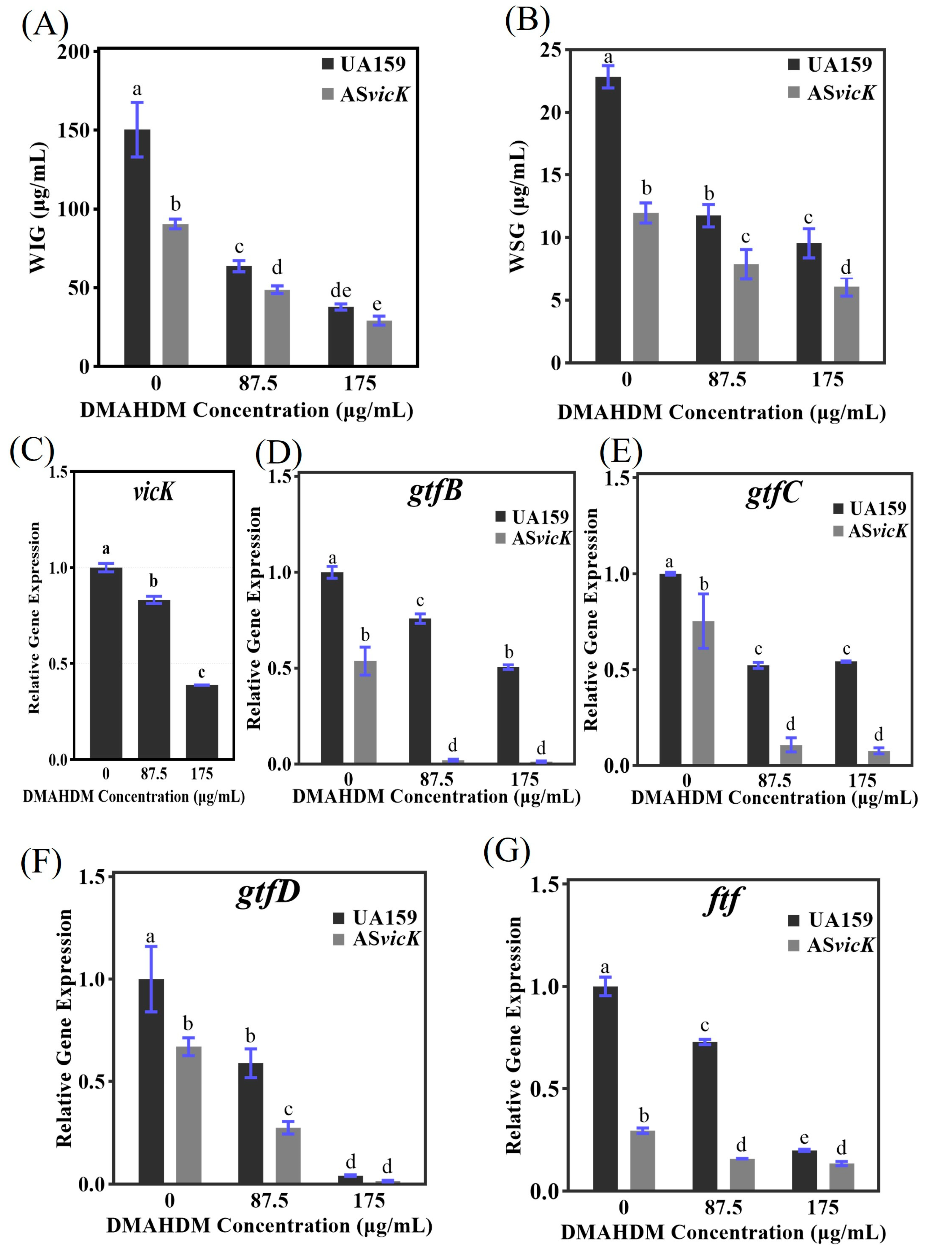 Pathogens 13 00707 g006