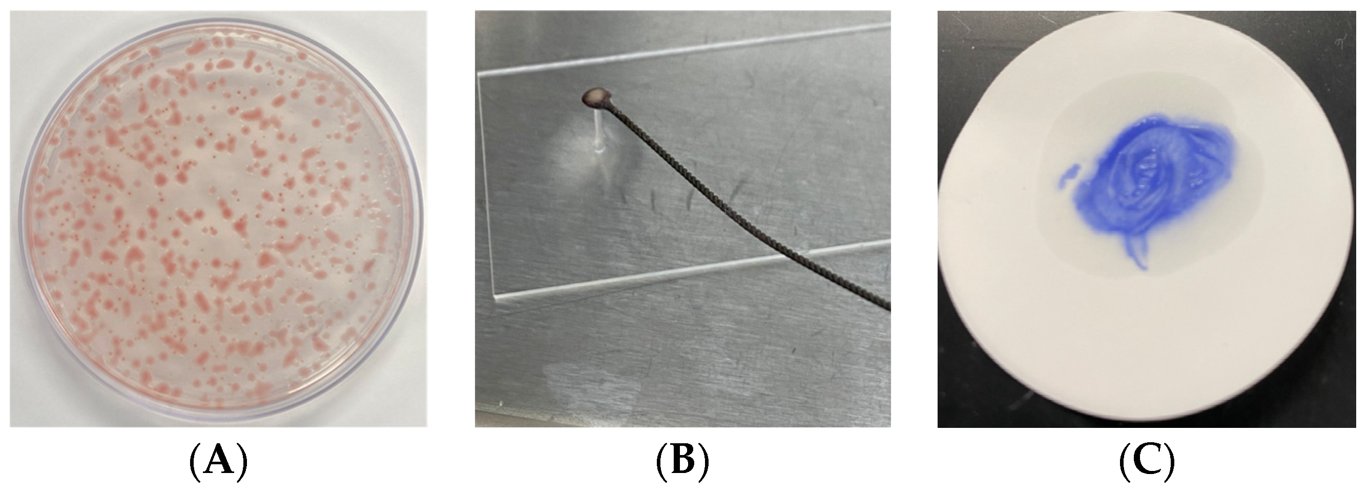 Pathogens 13 00708 g001a