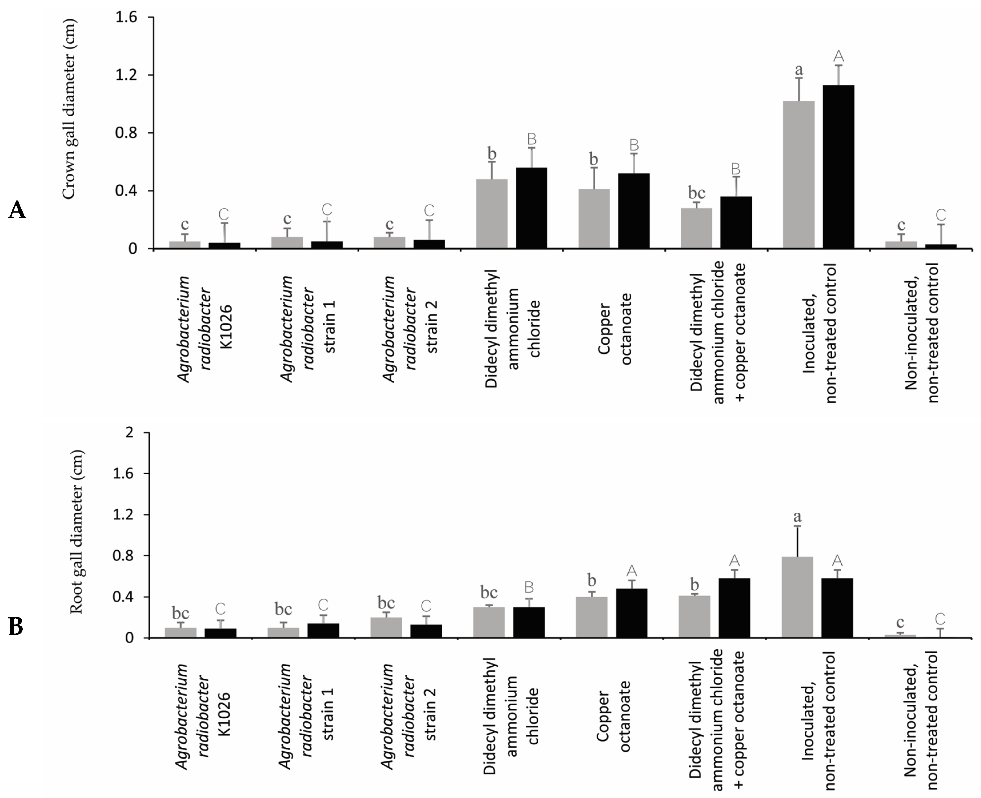 Pathogens 13 00708 g004