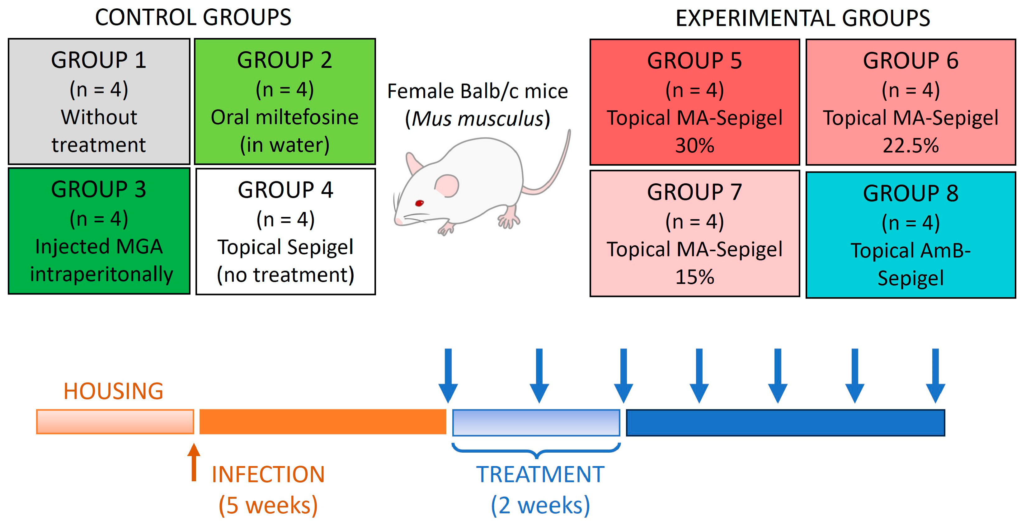 Pathogens 13 00712 g002