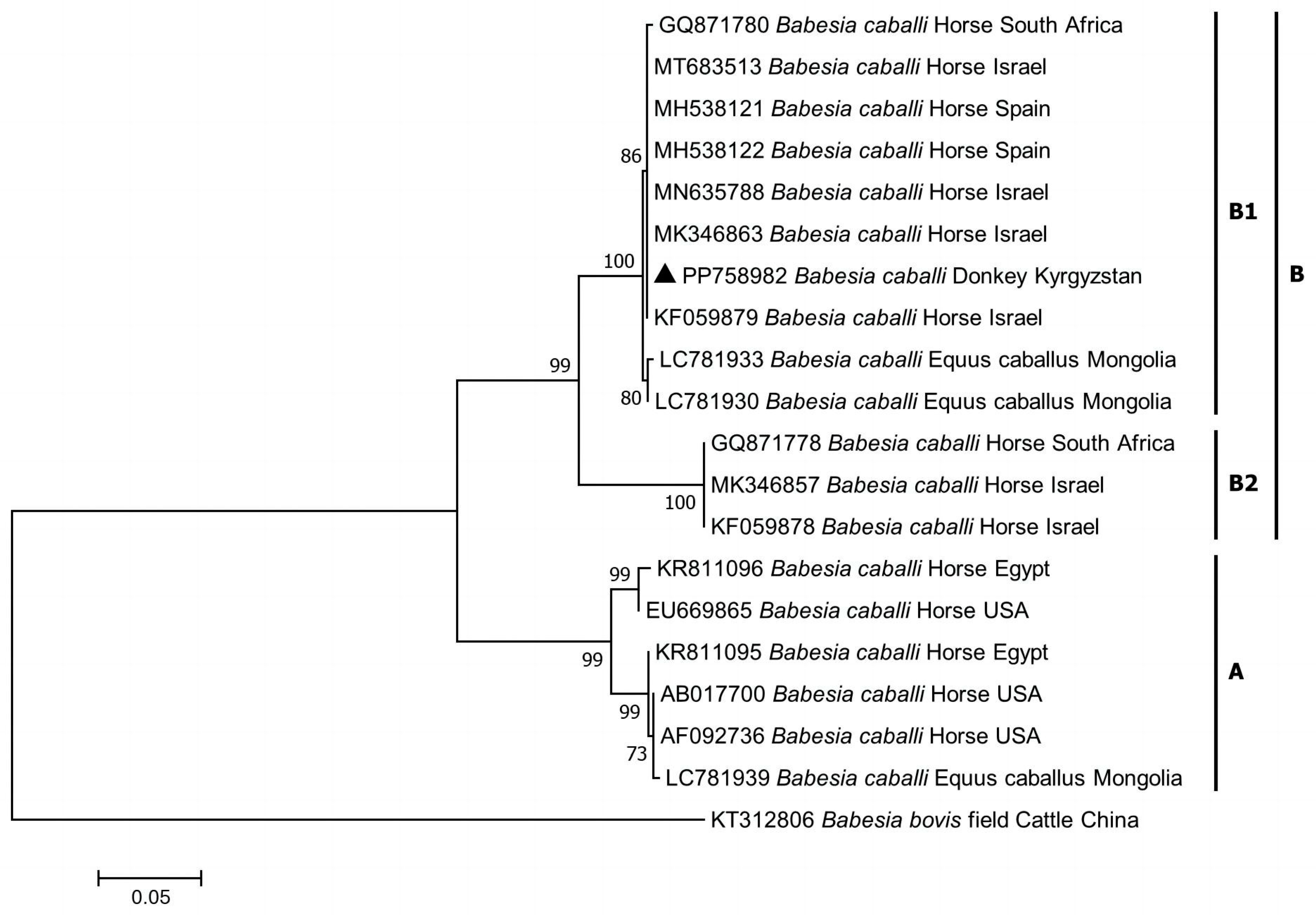 Pathogens 13 00713 g002
