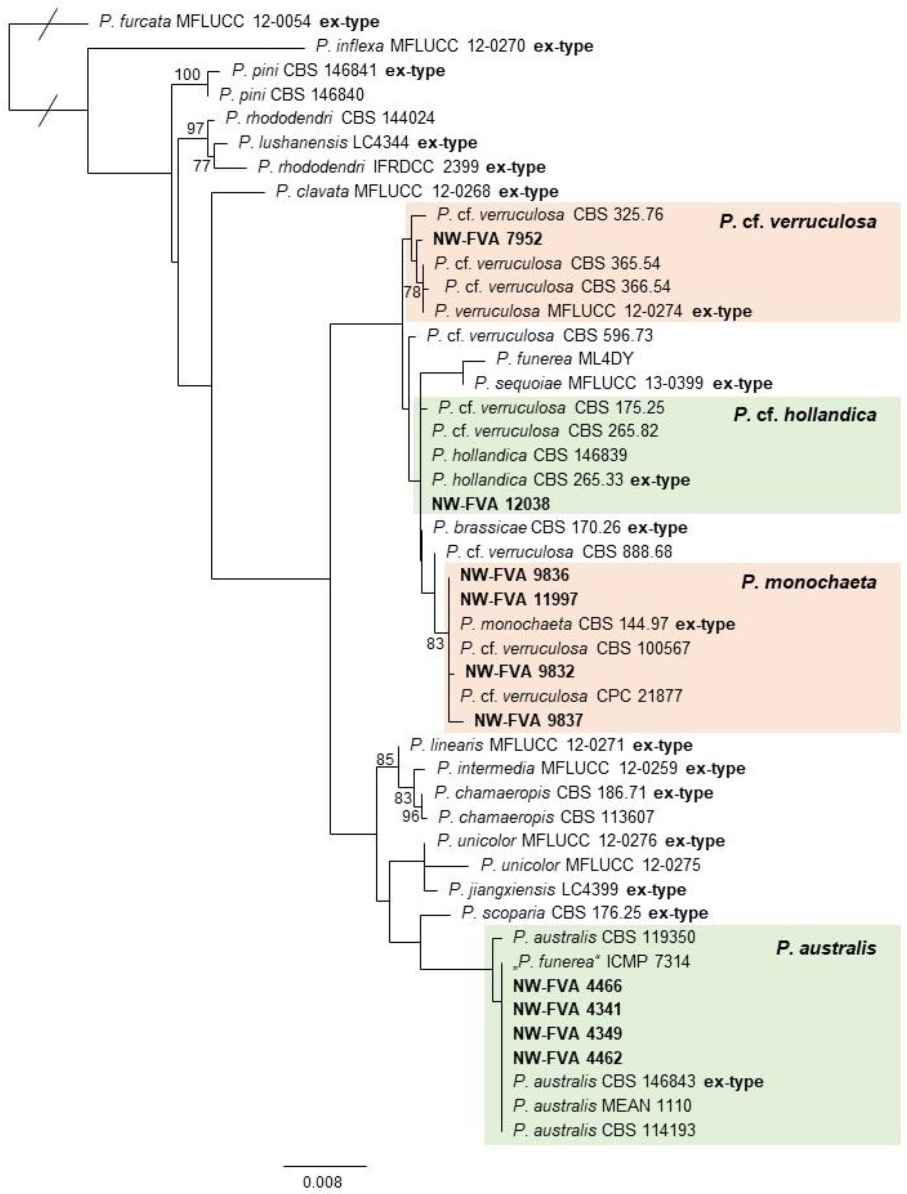 Pathogens 13 00715 g003