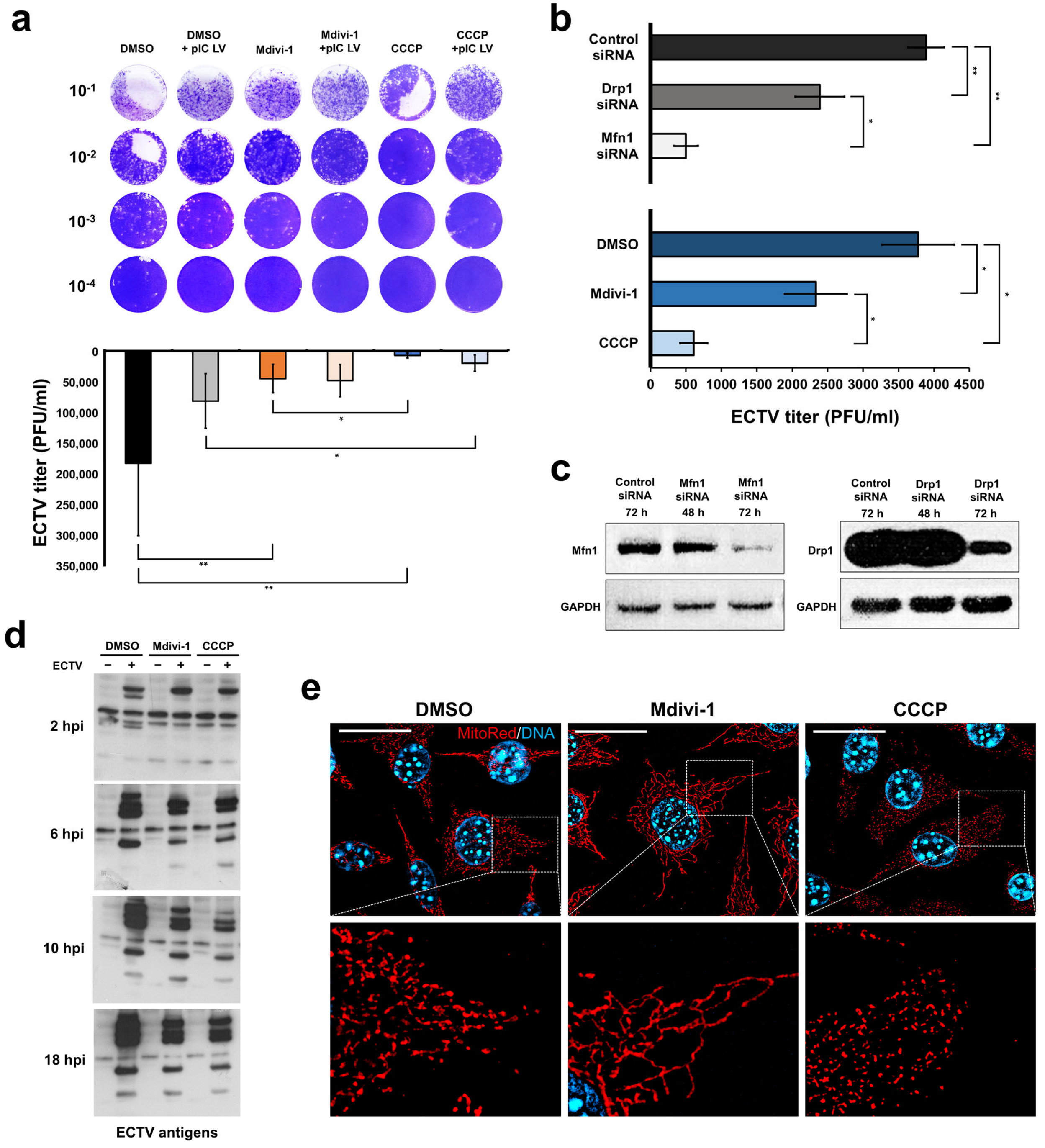 Pathogens 13 00717 g001