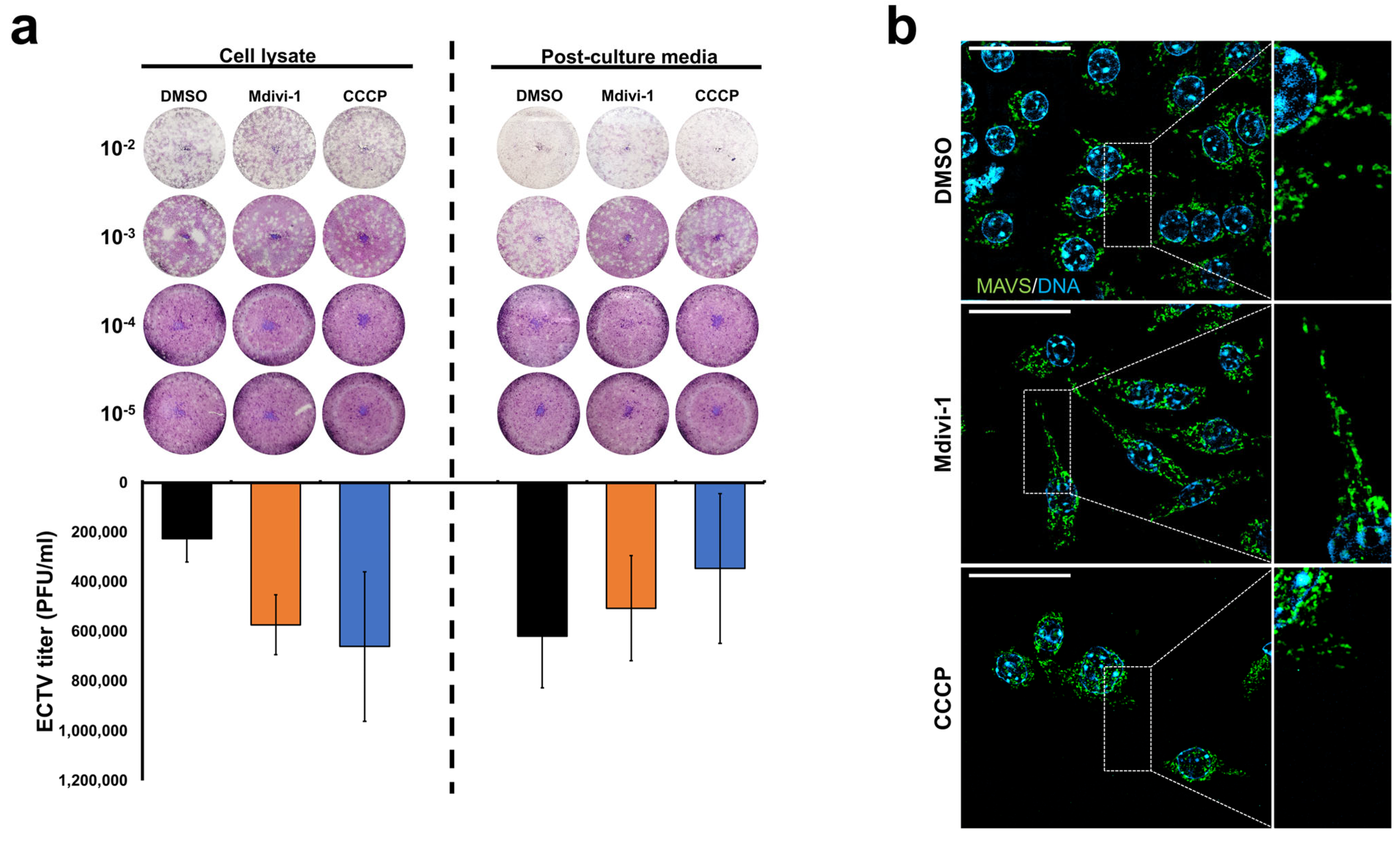Pathogens 13 00717 g002