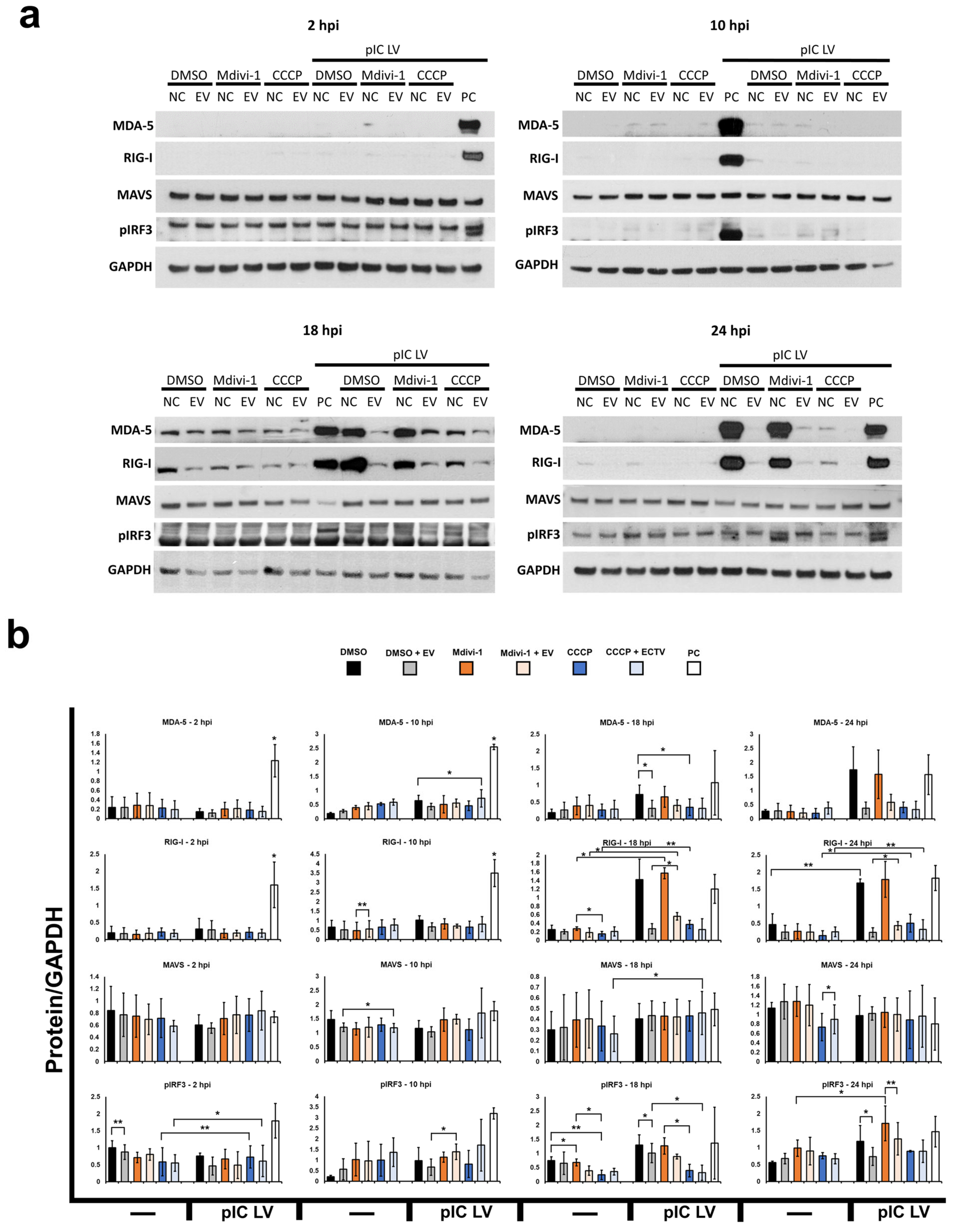 Pathogens 13 00717 g005