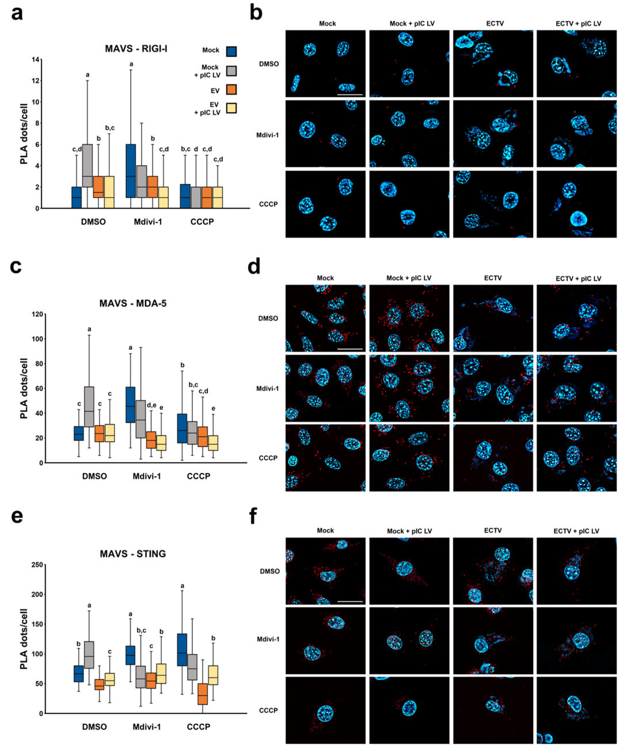 Pathogens 13 00717 g008