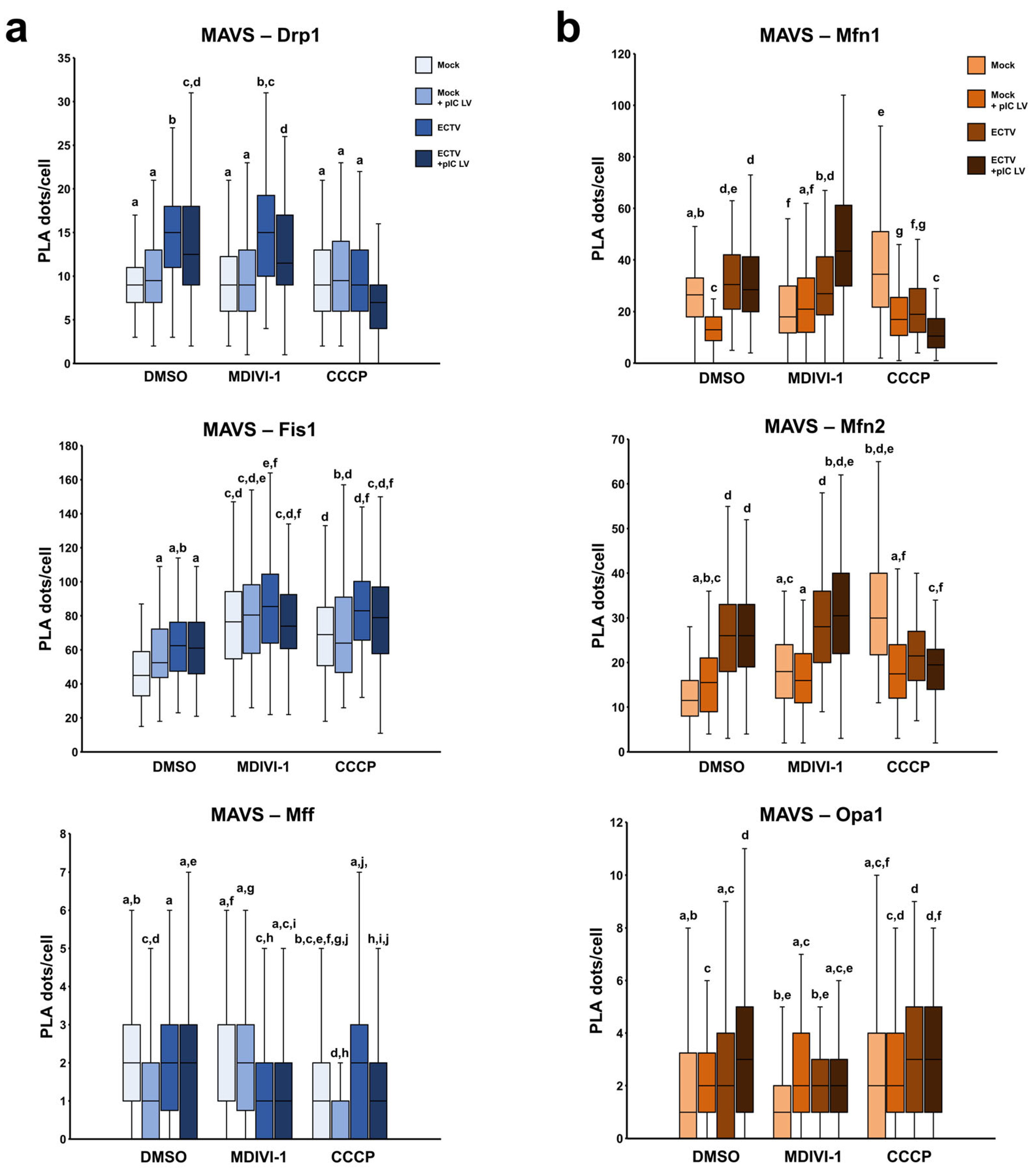 Pathogens 13 00717 g009