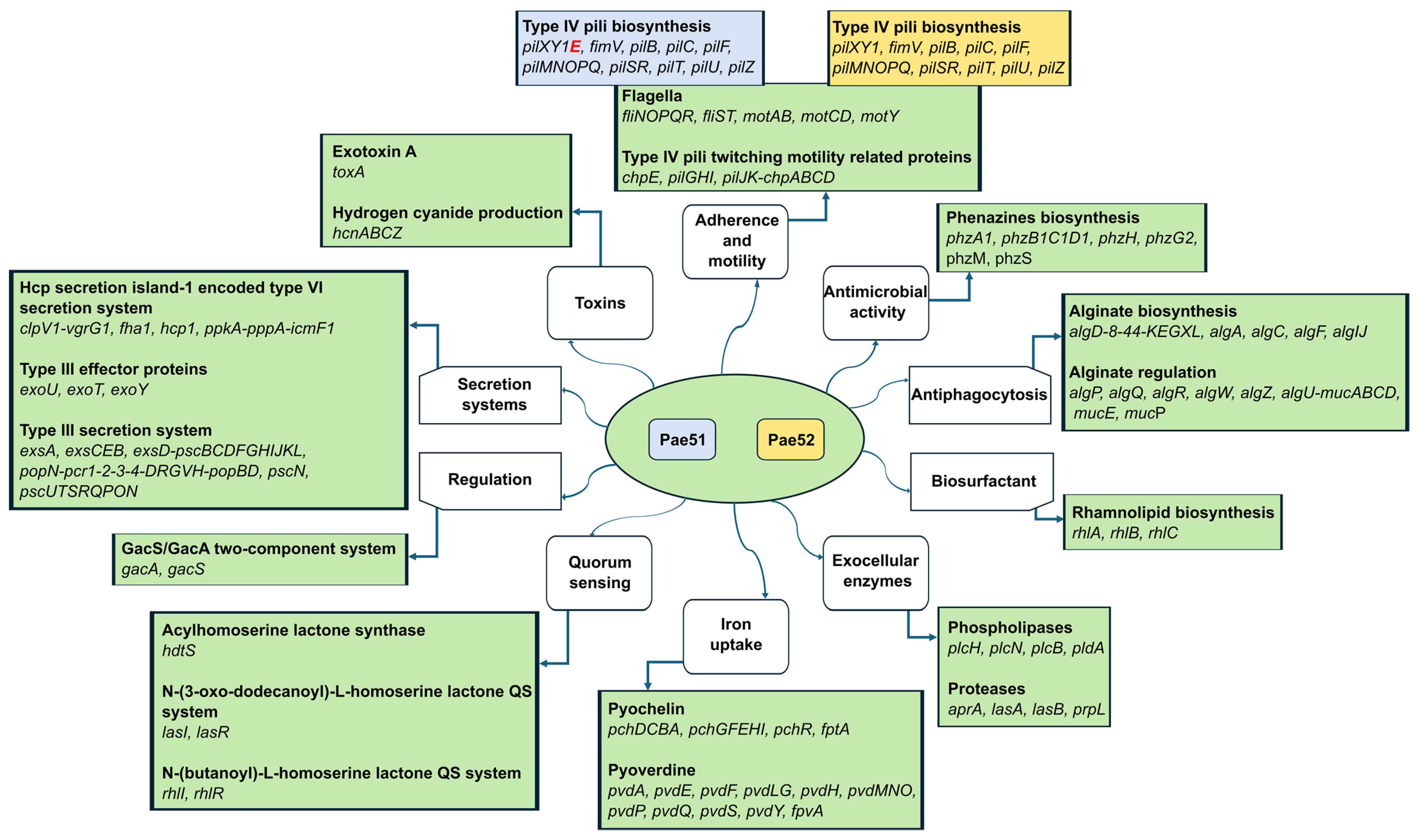 Pathogens 13 00719 g004