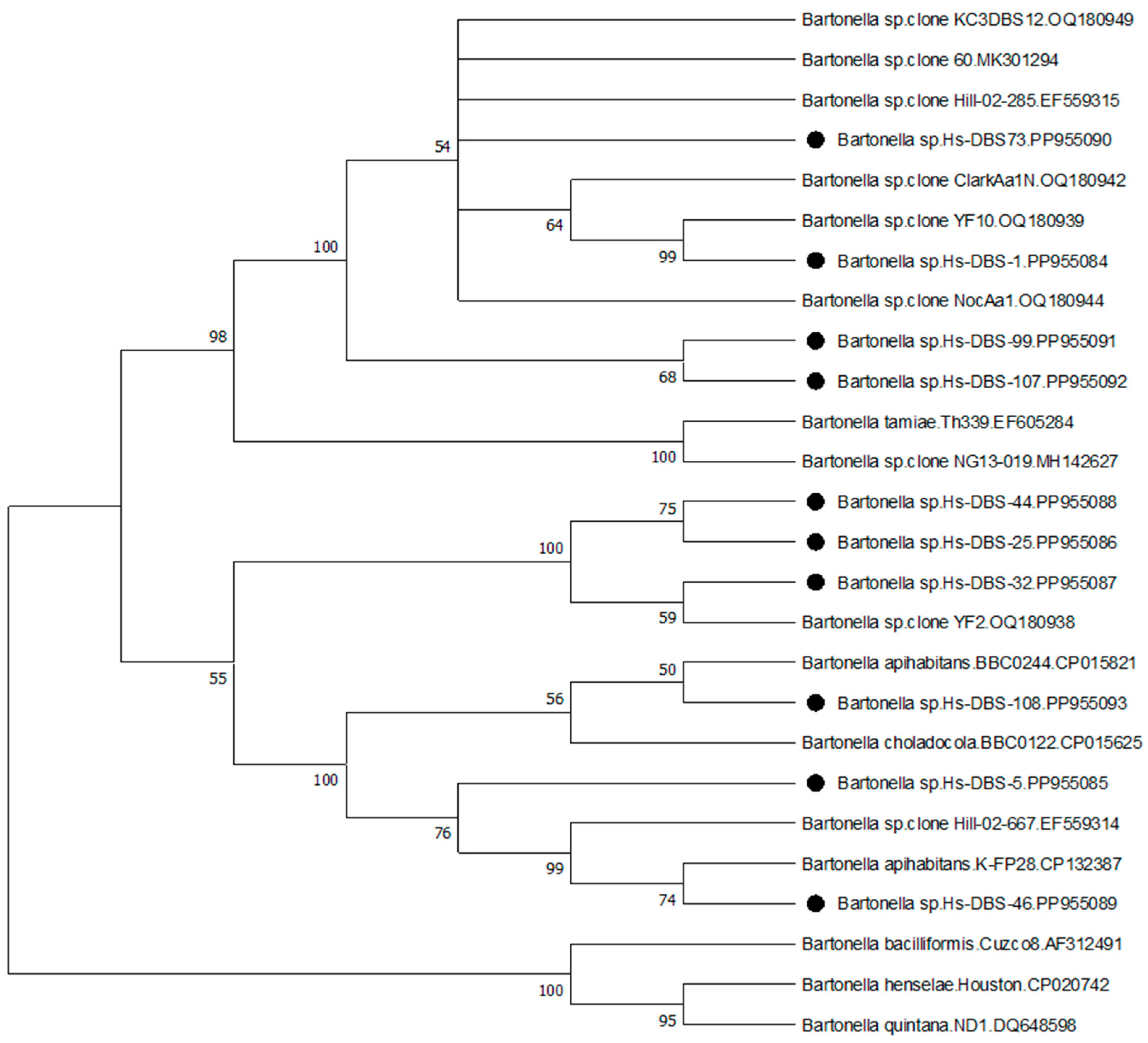 Pathogens 13 00727 g001