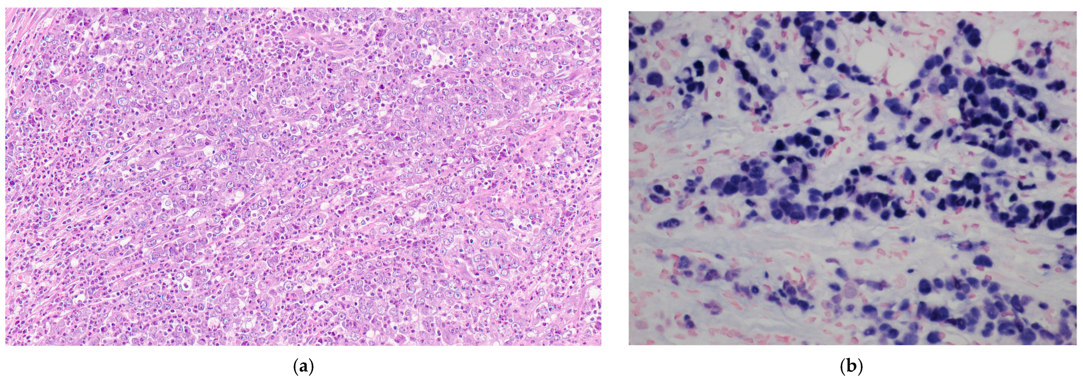 Pathogens 13 00728 g001