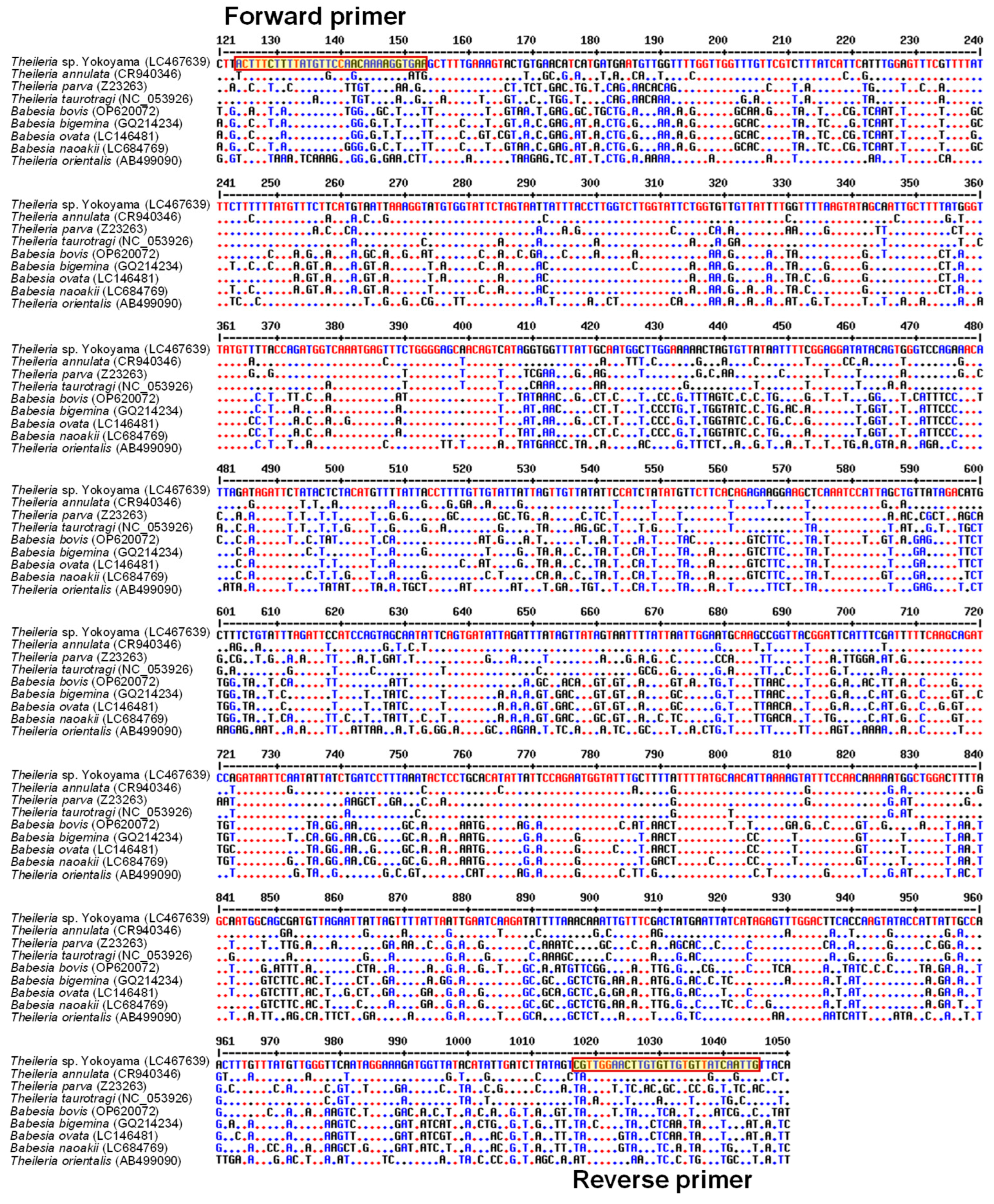 Pathogens 13 00735 g001