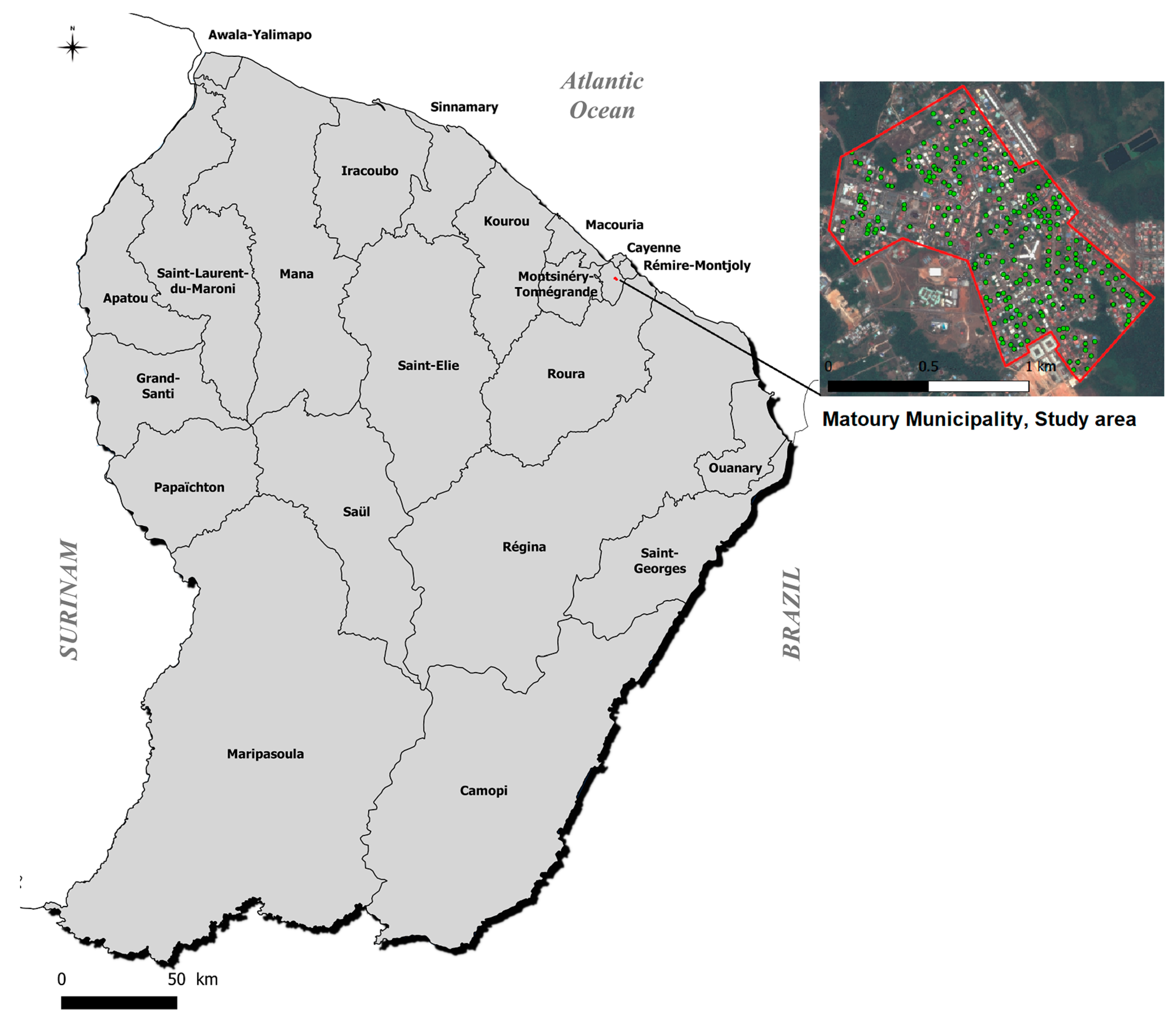 Pathogens 13 00738 g001