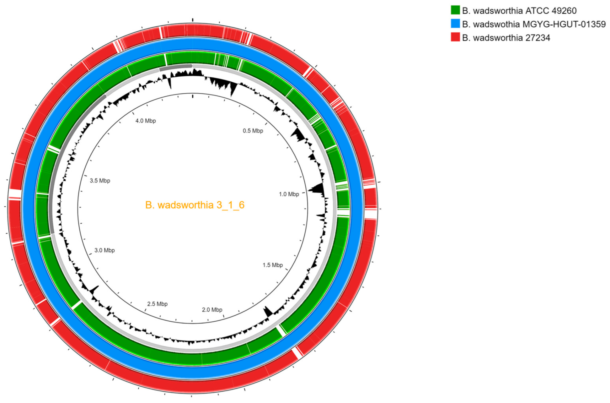Pathogens 13 00749 g002