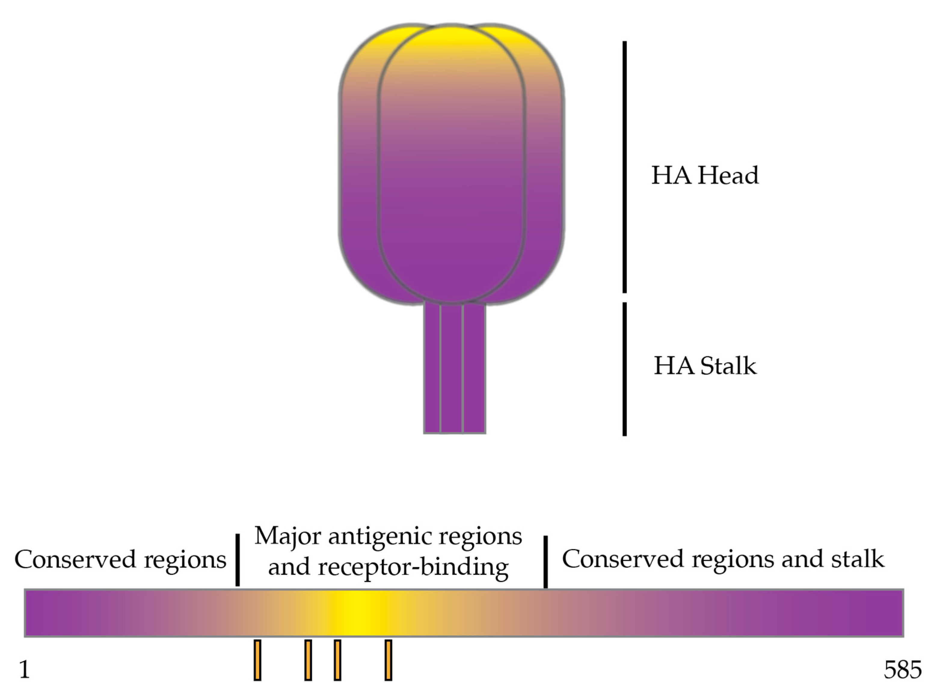 Pathogens 13 00755 g002