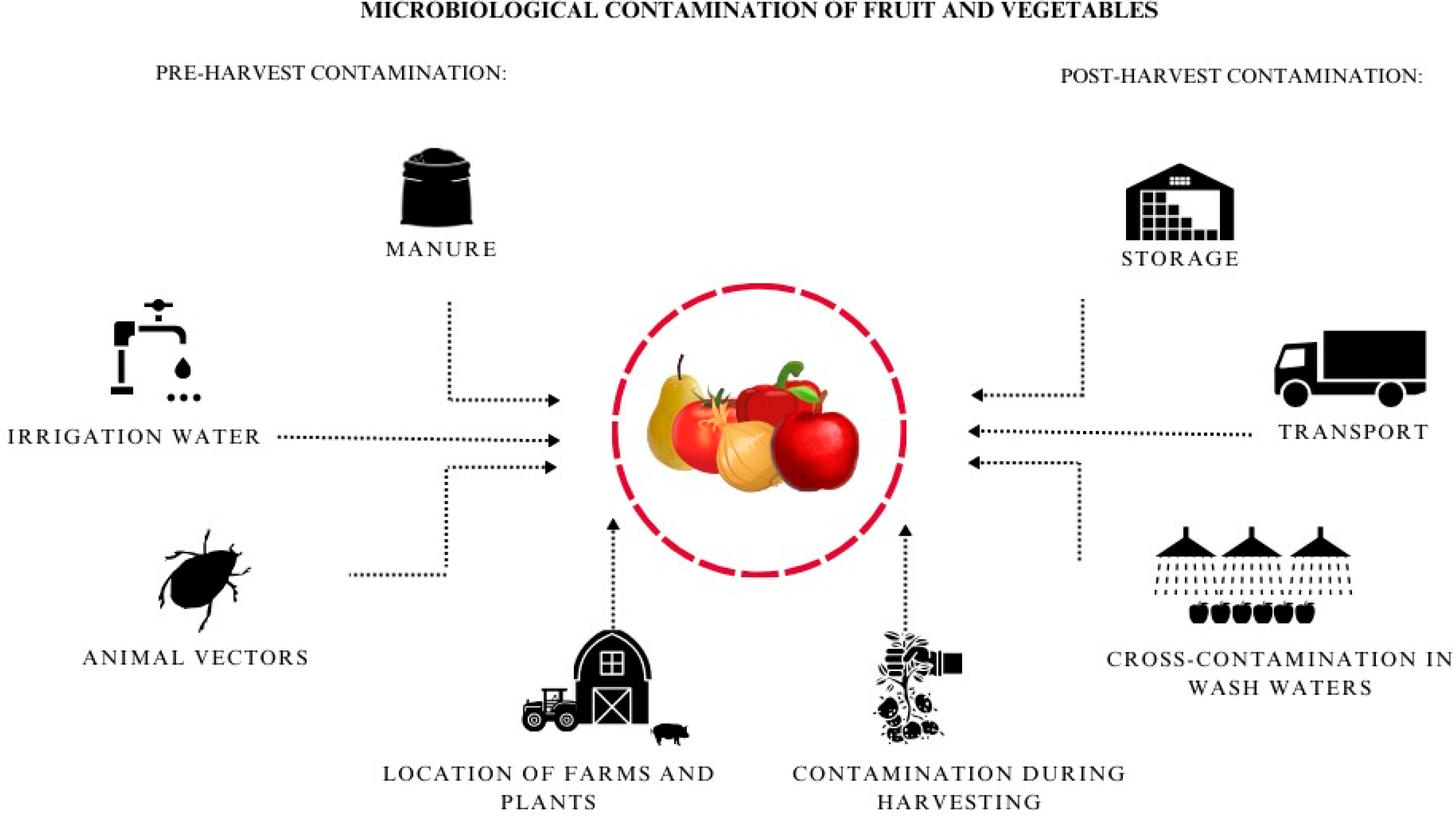 Pathogens 13 00768 g001 Pathogens 13 00768 g001
