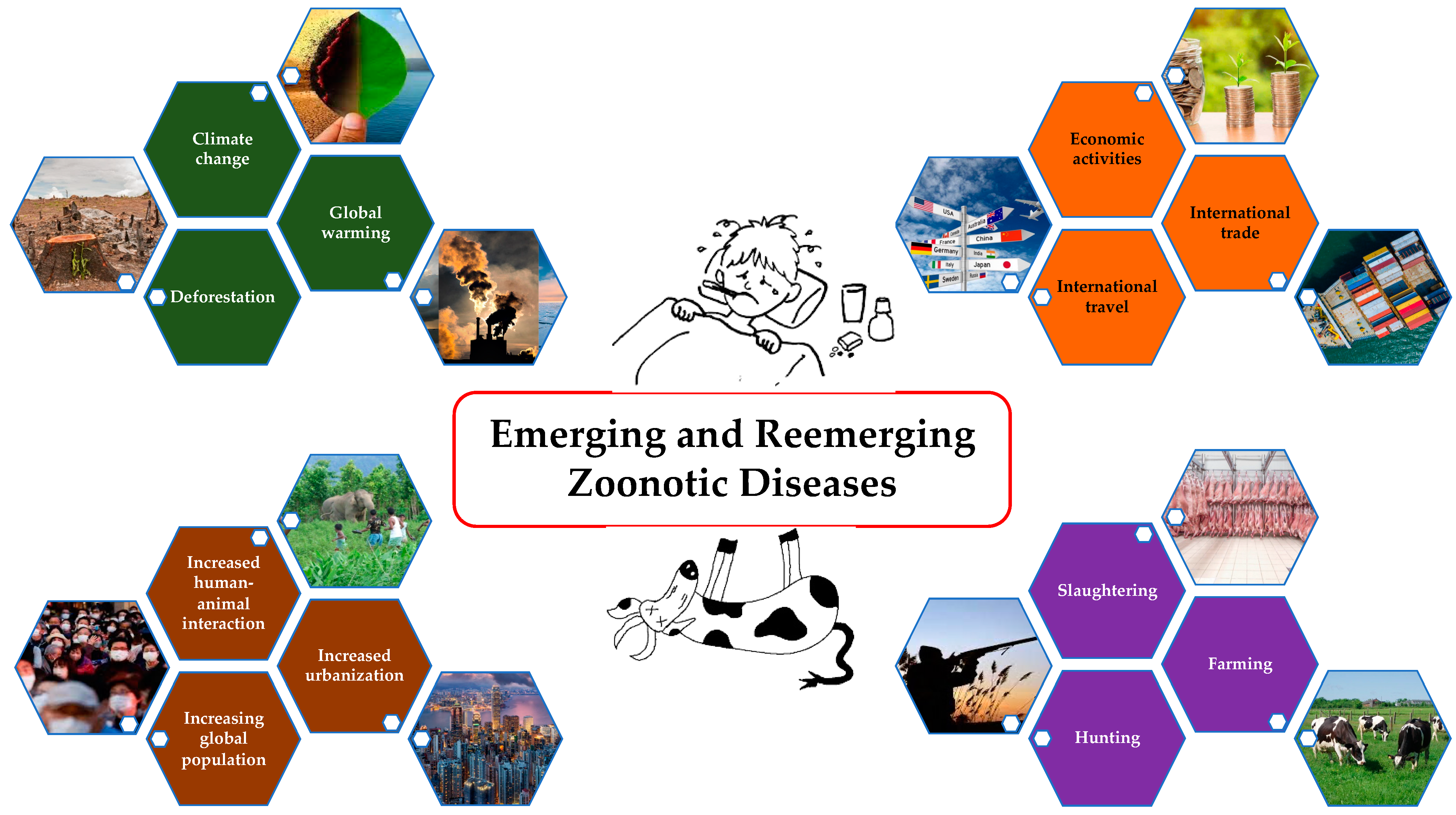 Pathogens 13 00773 g001