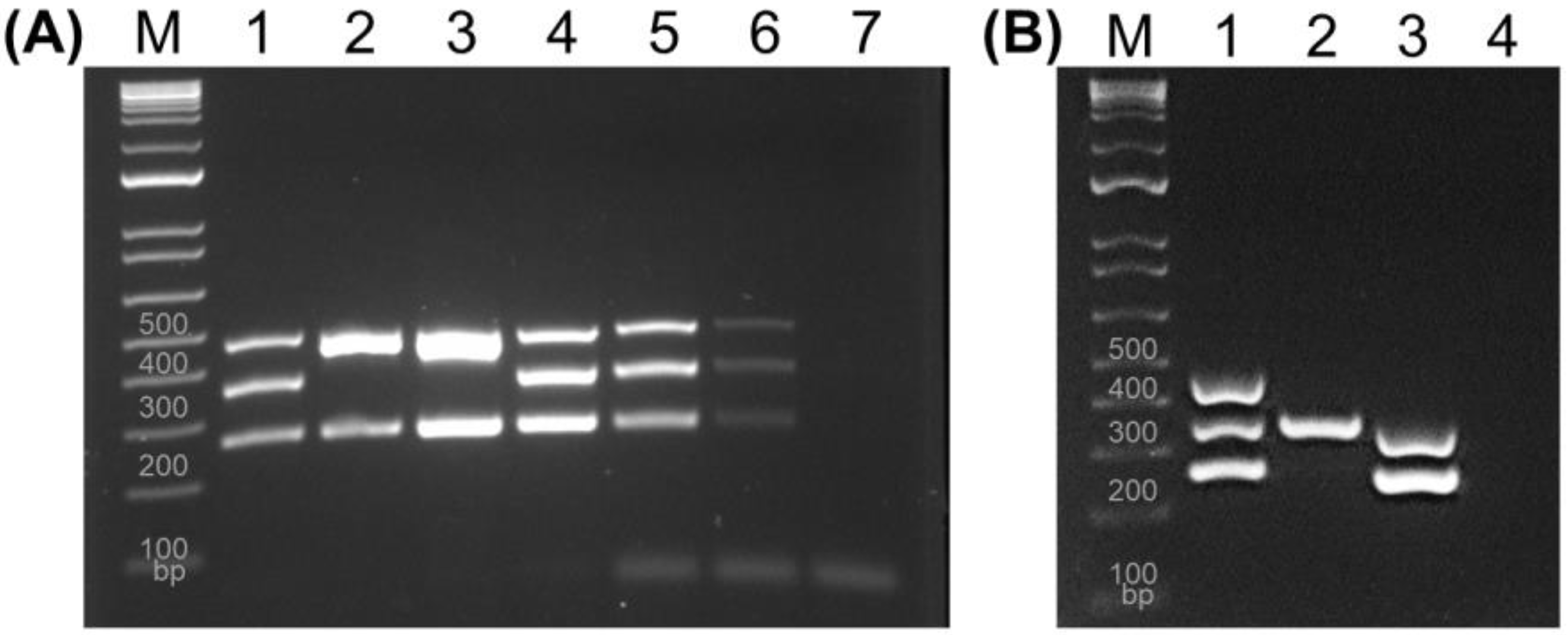Pathogens 13 00774 g002