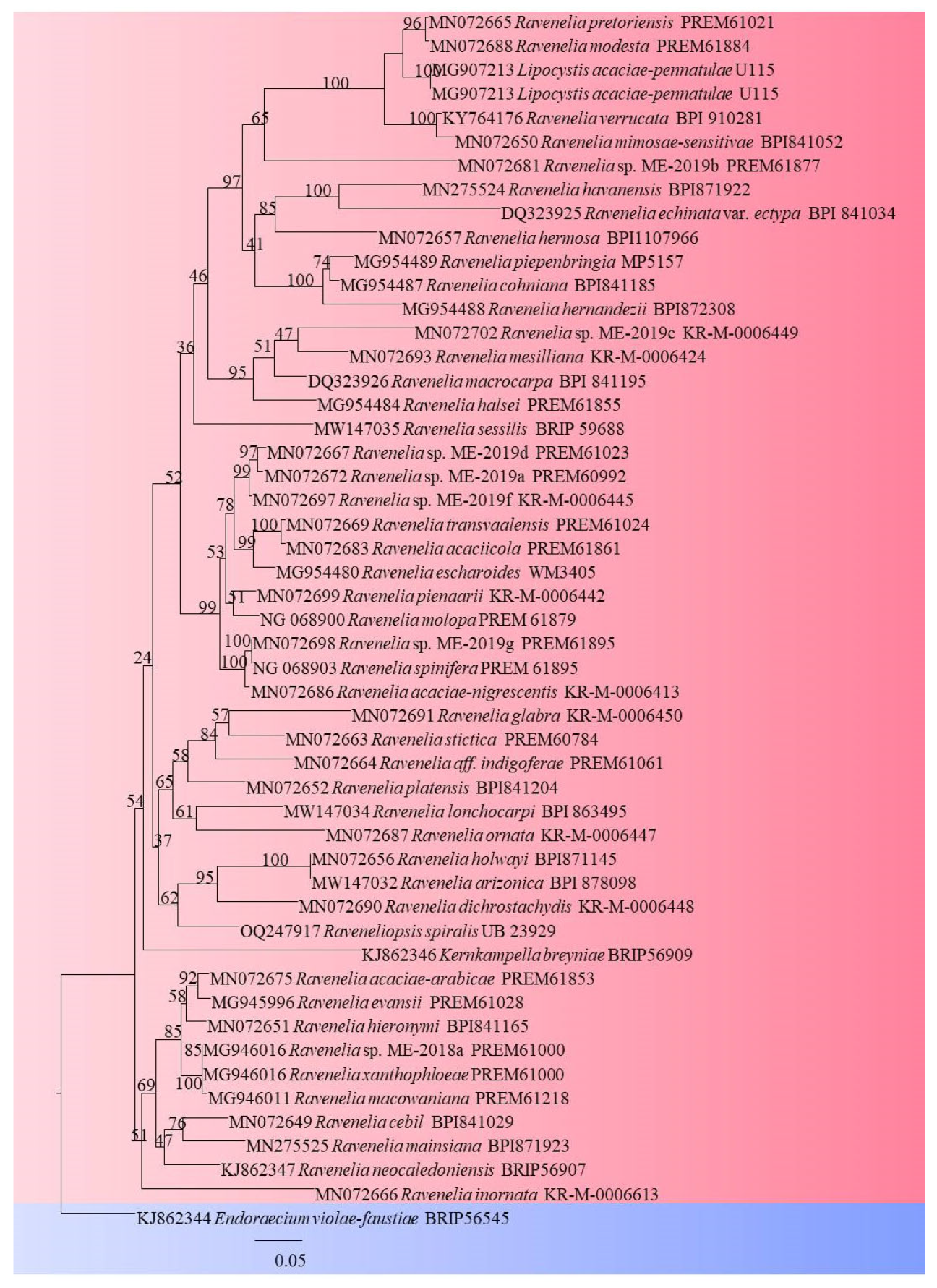 Pathogens 13 00775 g002