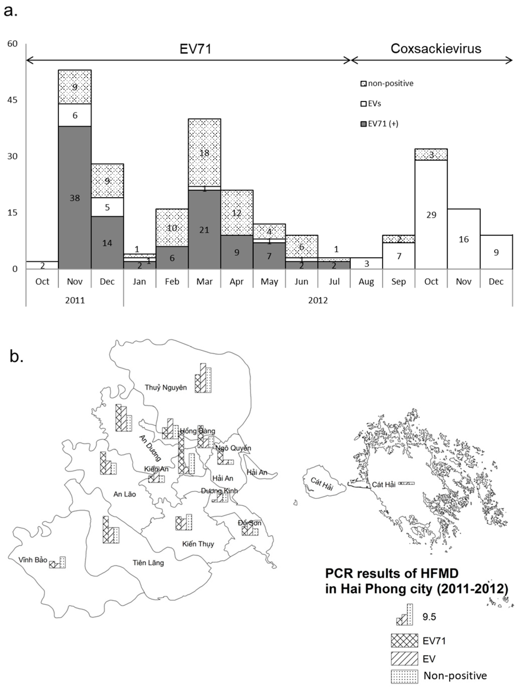 Pathogens 13 00777 g003