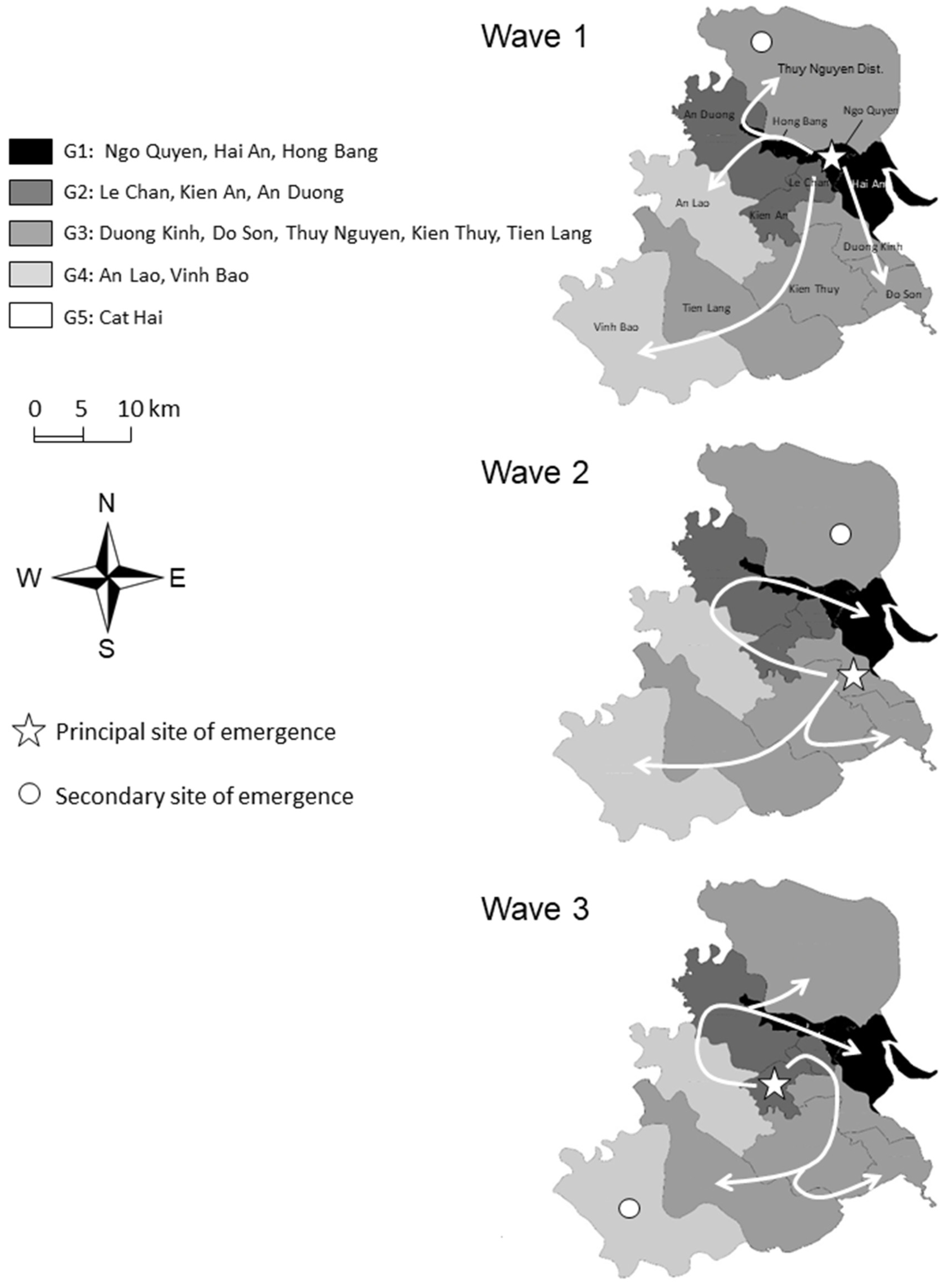 Pathogens 13 00777 g004