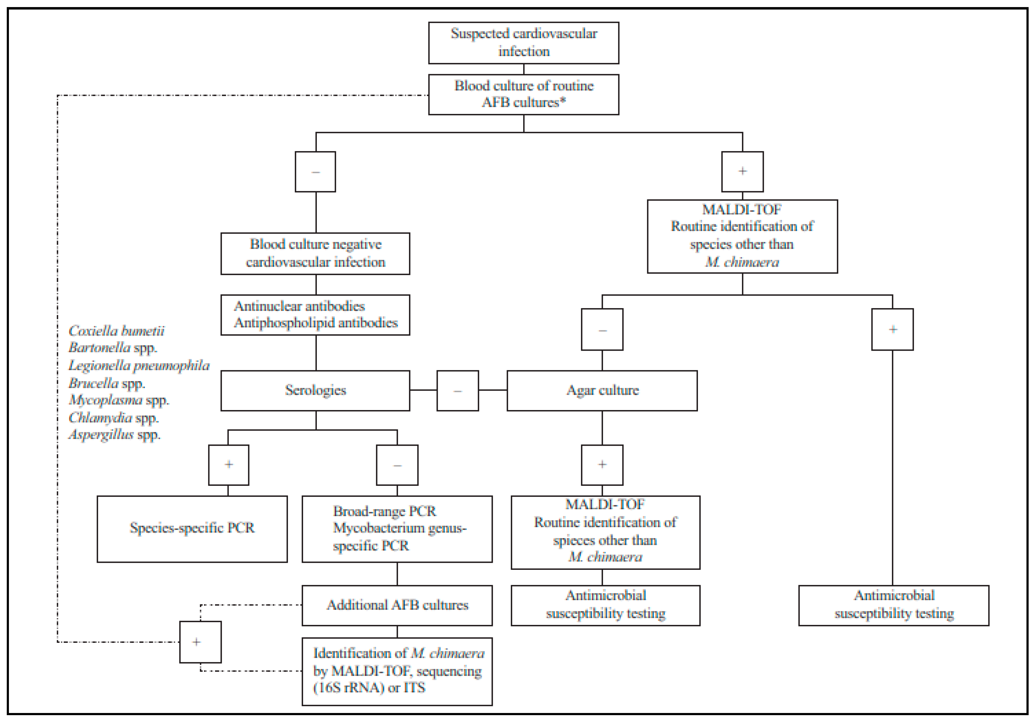 Pathogens 13 00781 g001
