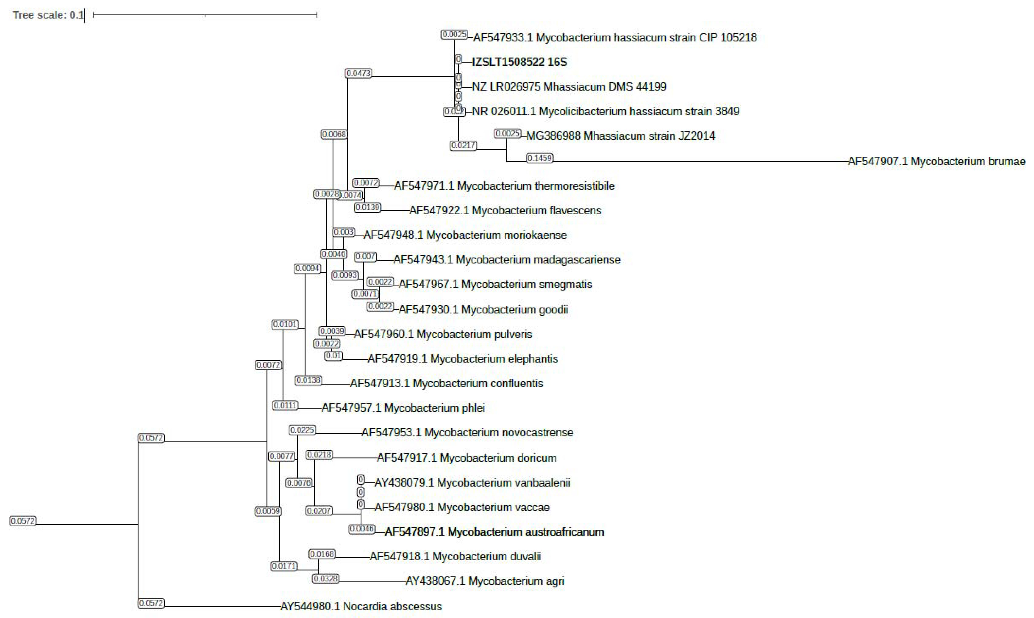 Pathogens 13 00785 g002