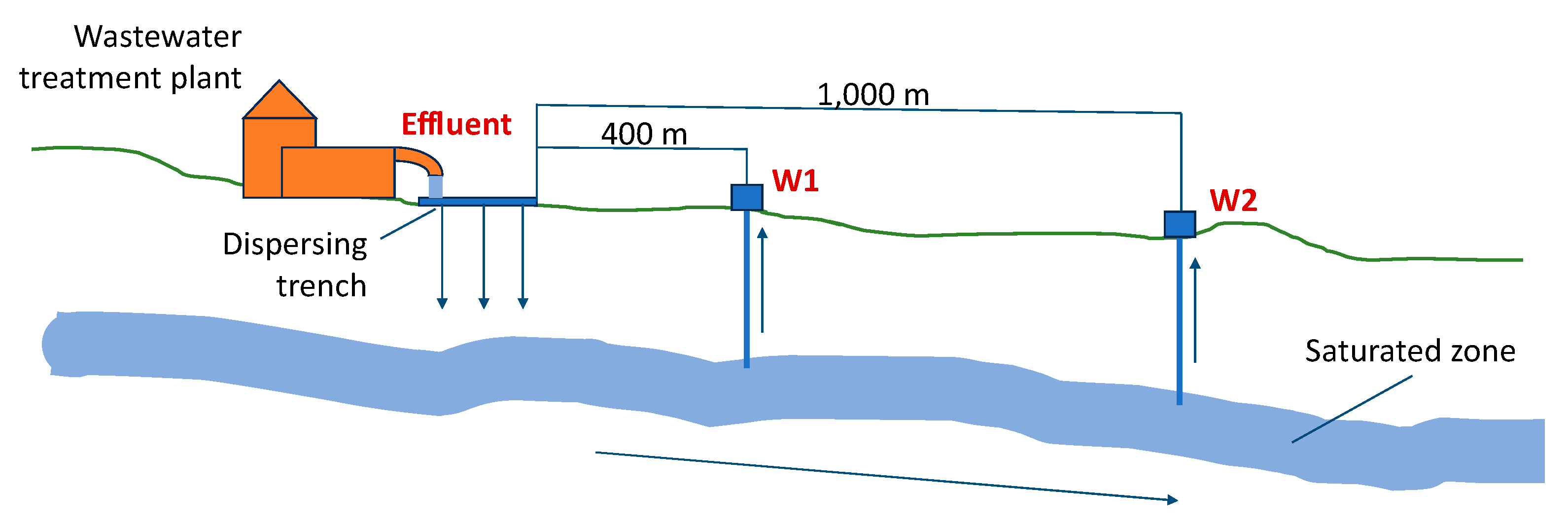 Pathogens 13 00786 g002