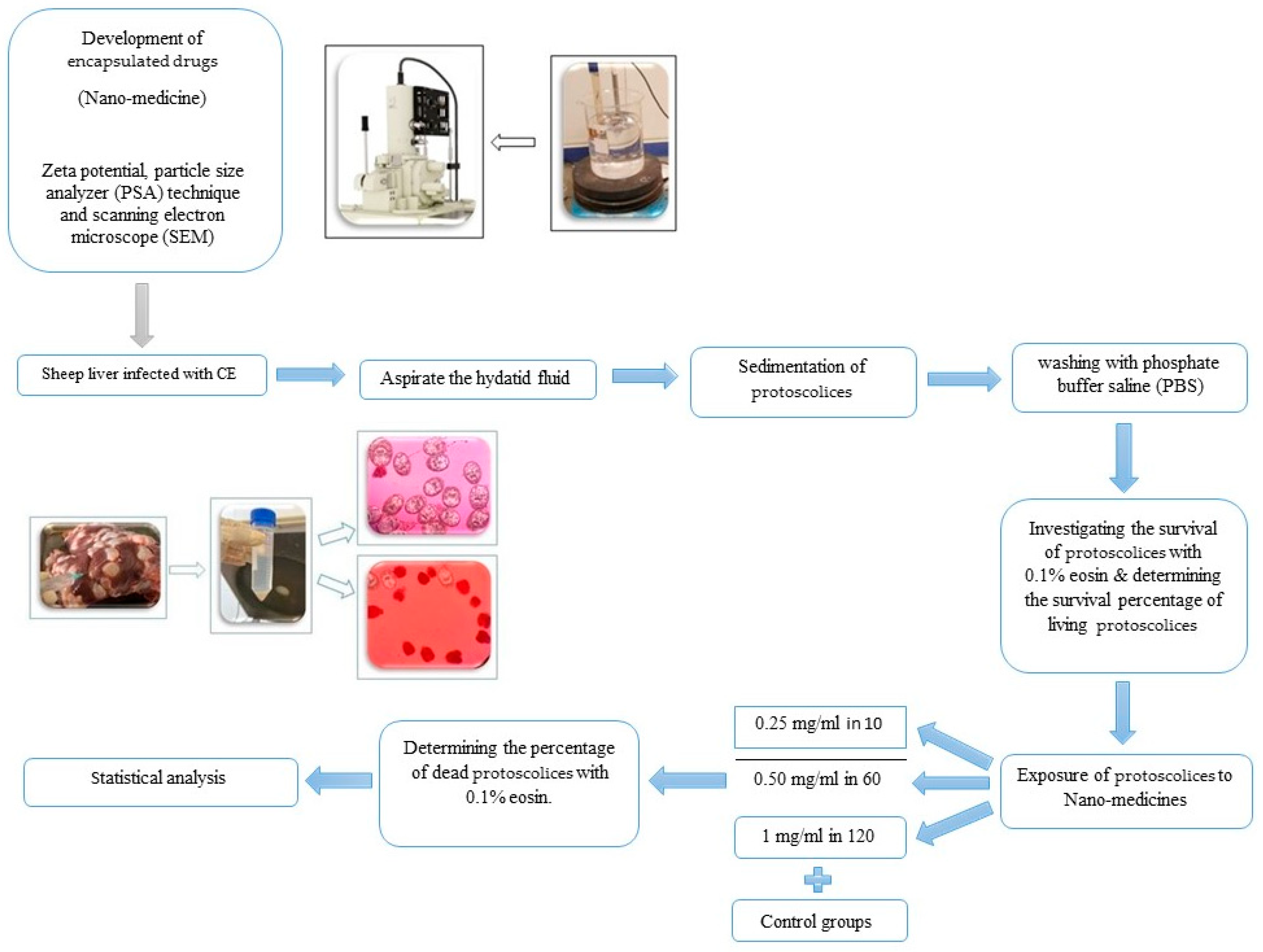 Pathogens 13 00790 g001
