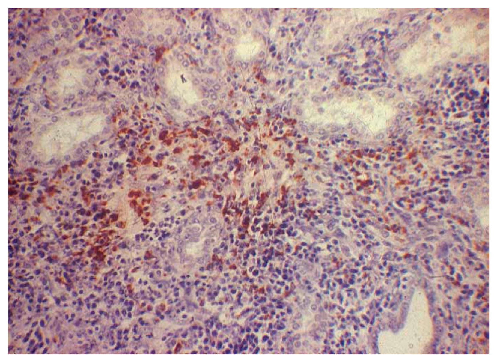 Pathogens 13 00792 g002