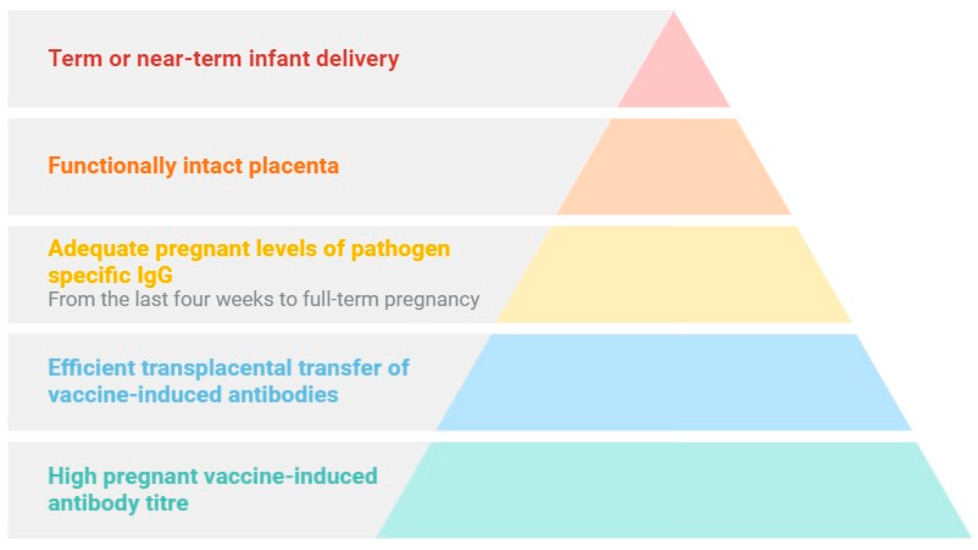 Pathogens 13 00802 g004