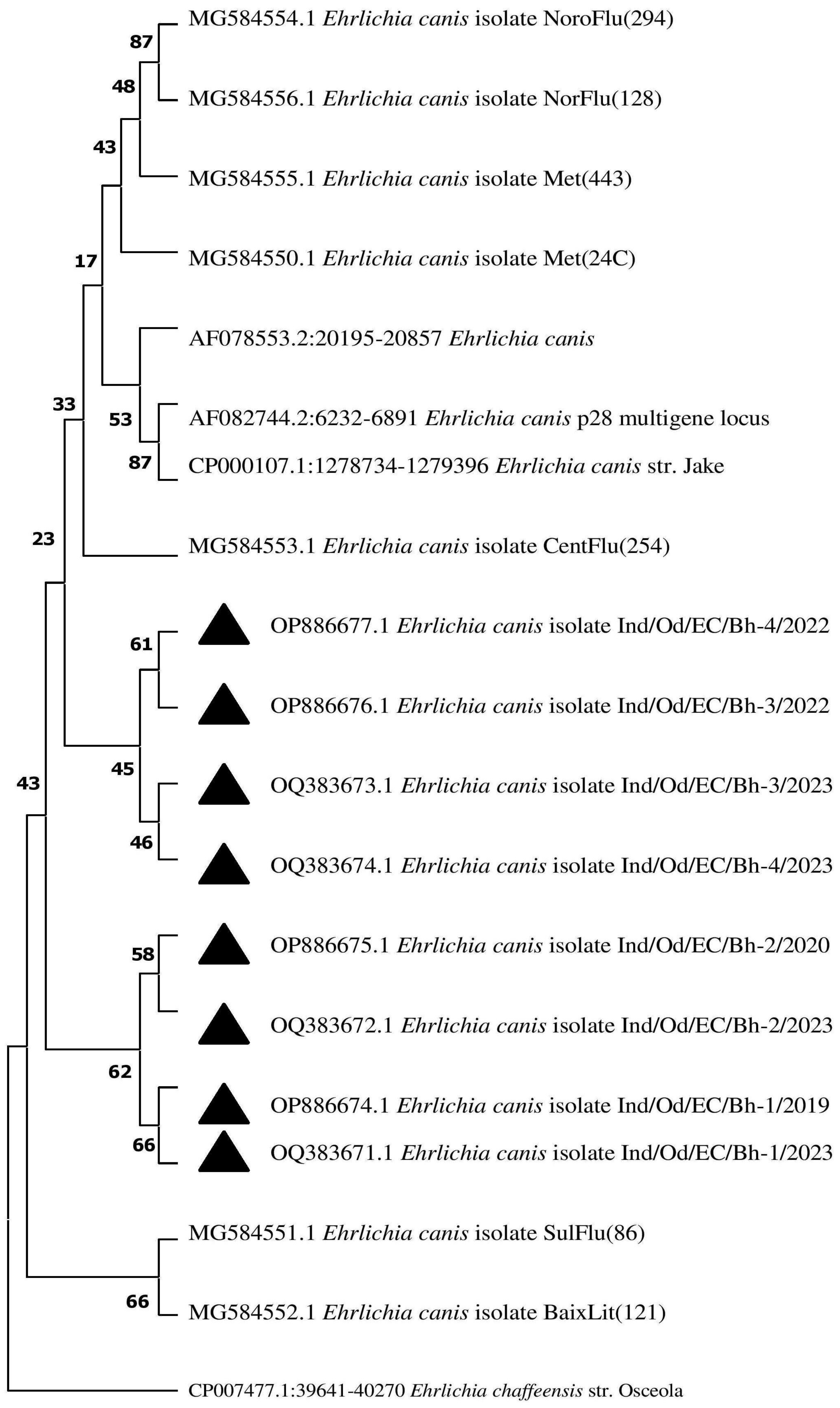 Pathogens 13 00803 g007