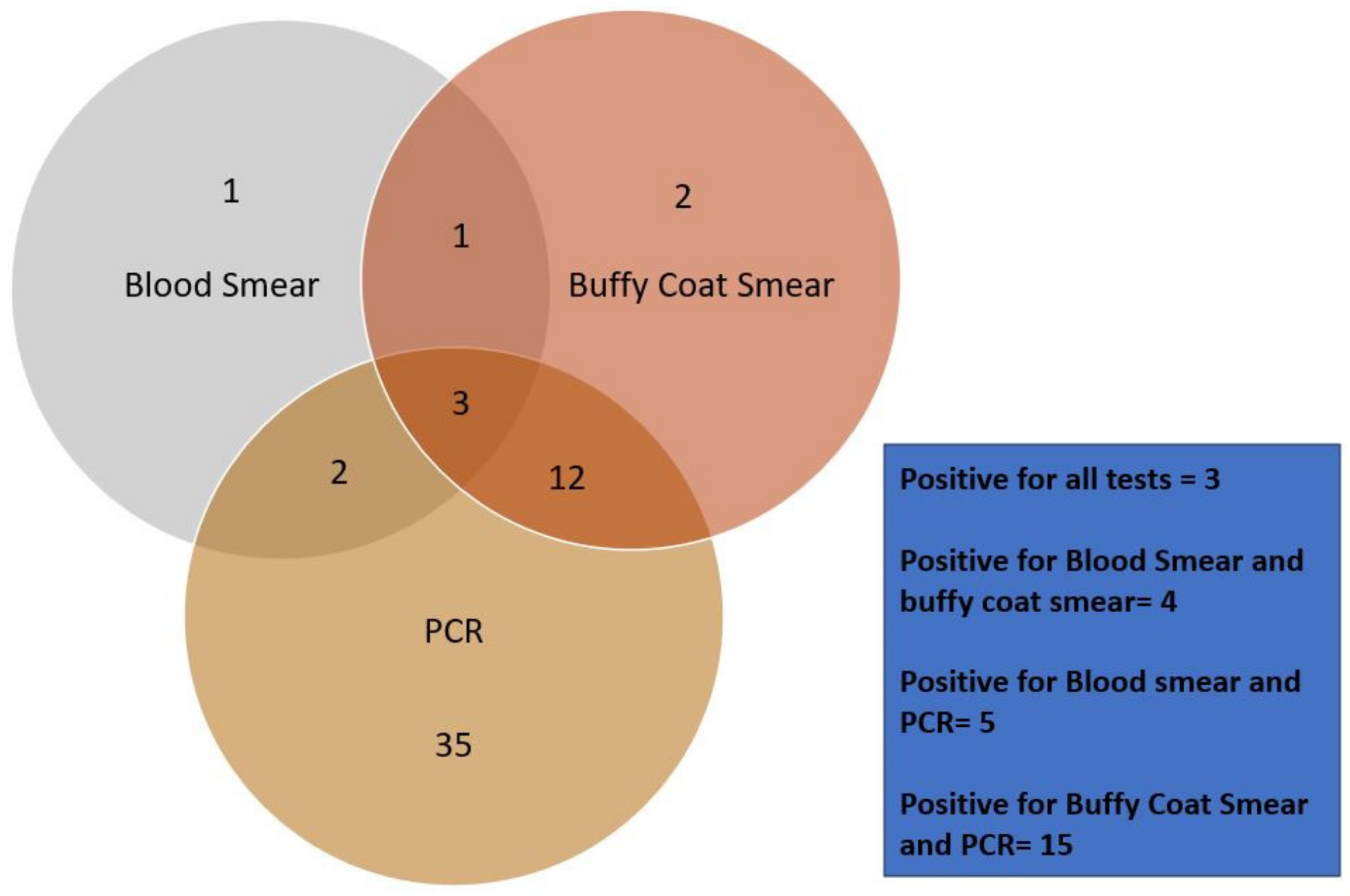 Pathogens 13 00803 g008