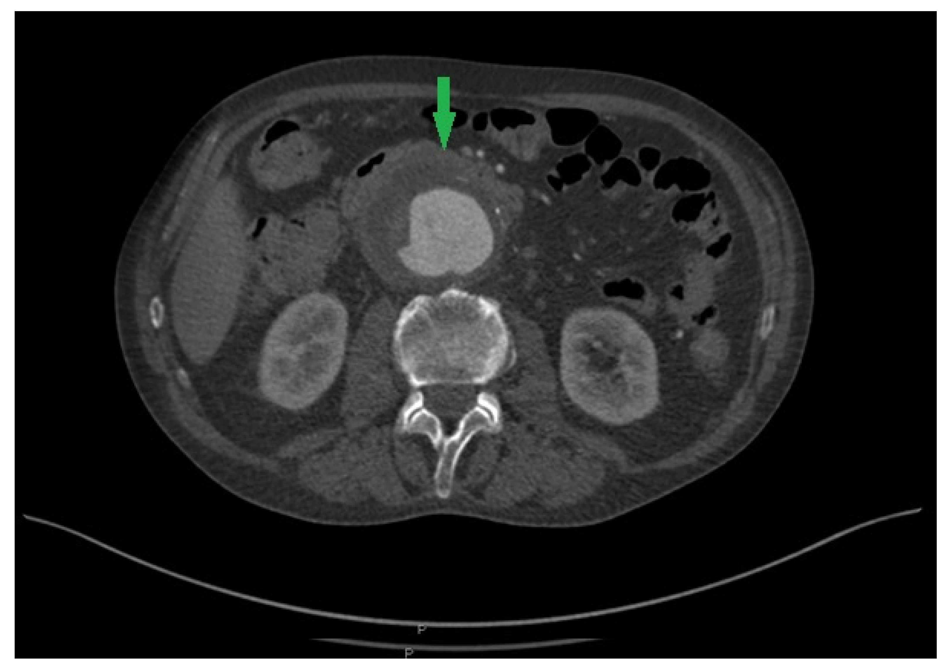 Pathogens 13 00805 g001 Pathogens 13 00805 g001