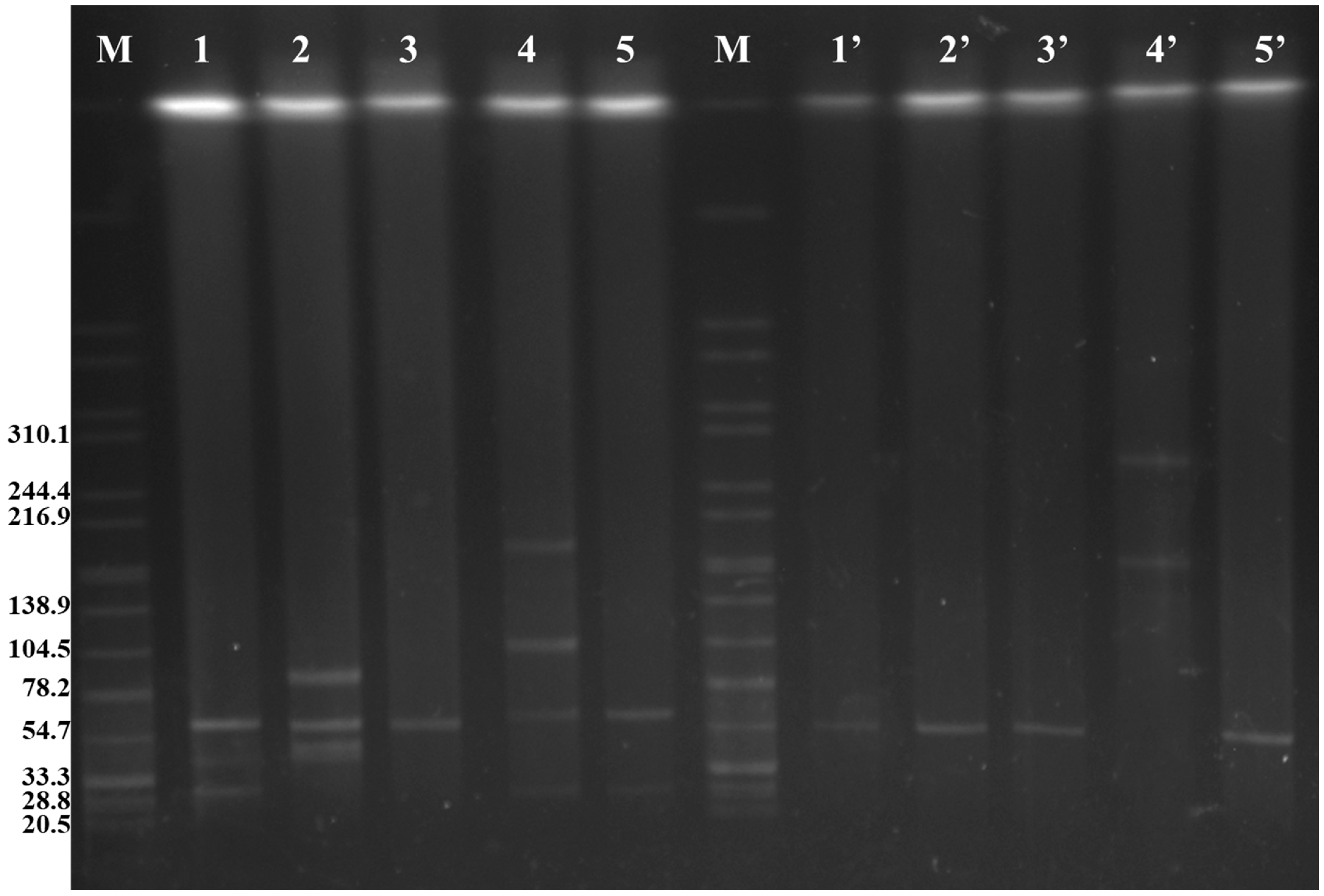 Prevalence and Characteristics of Plasmid-Mediated Prevalence and Characteristics of Plasmid-Mediated