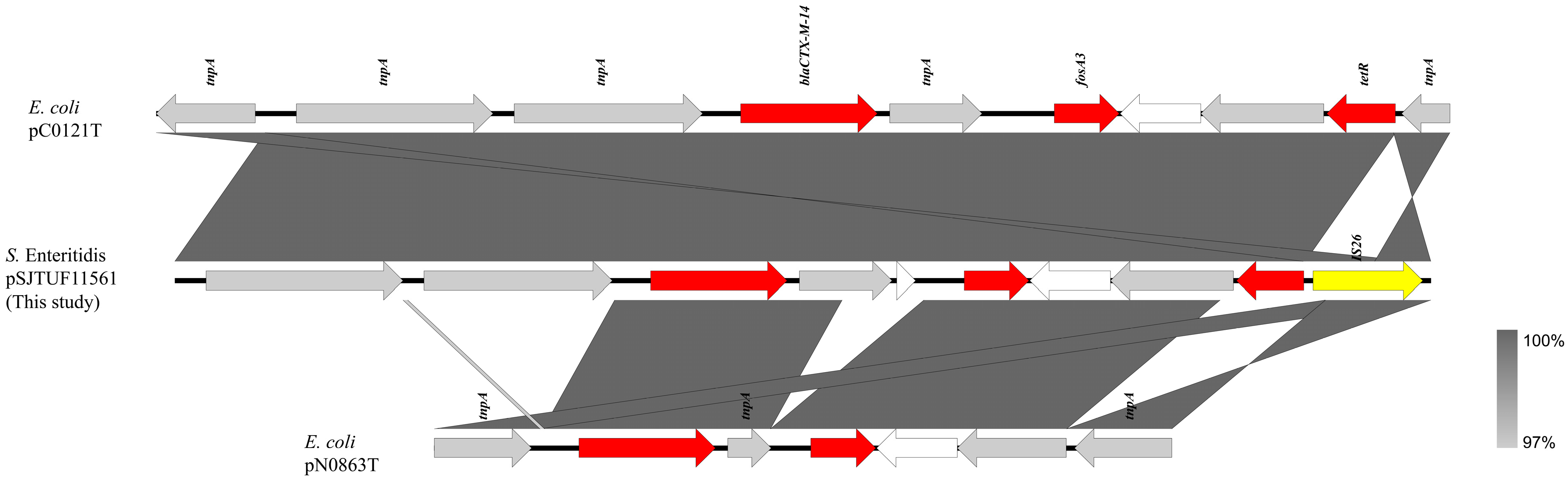 Pathogens 13 00816 g002 Pathogens 13 00816 g002