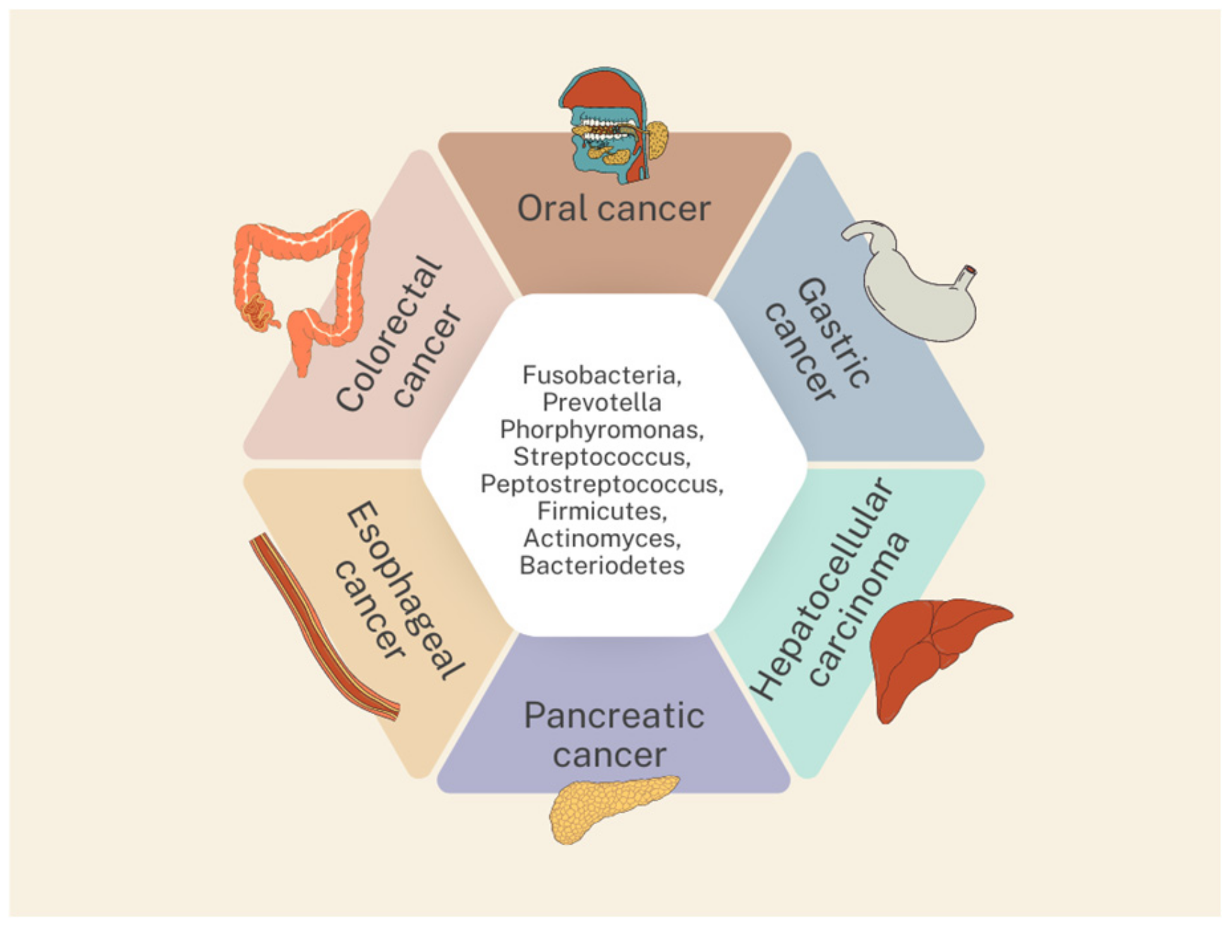 Pathogens 13 00819 g001