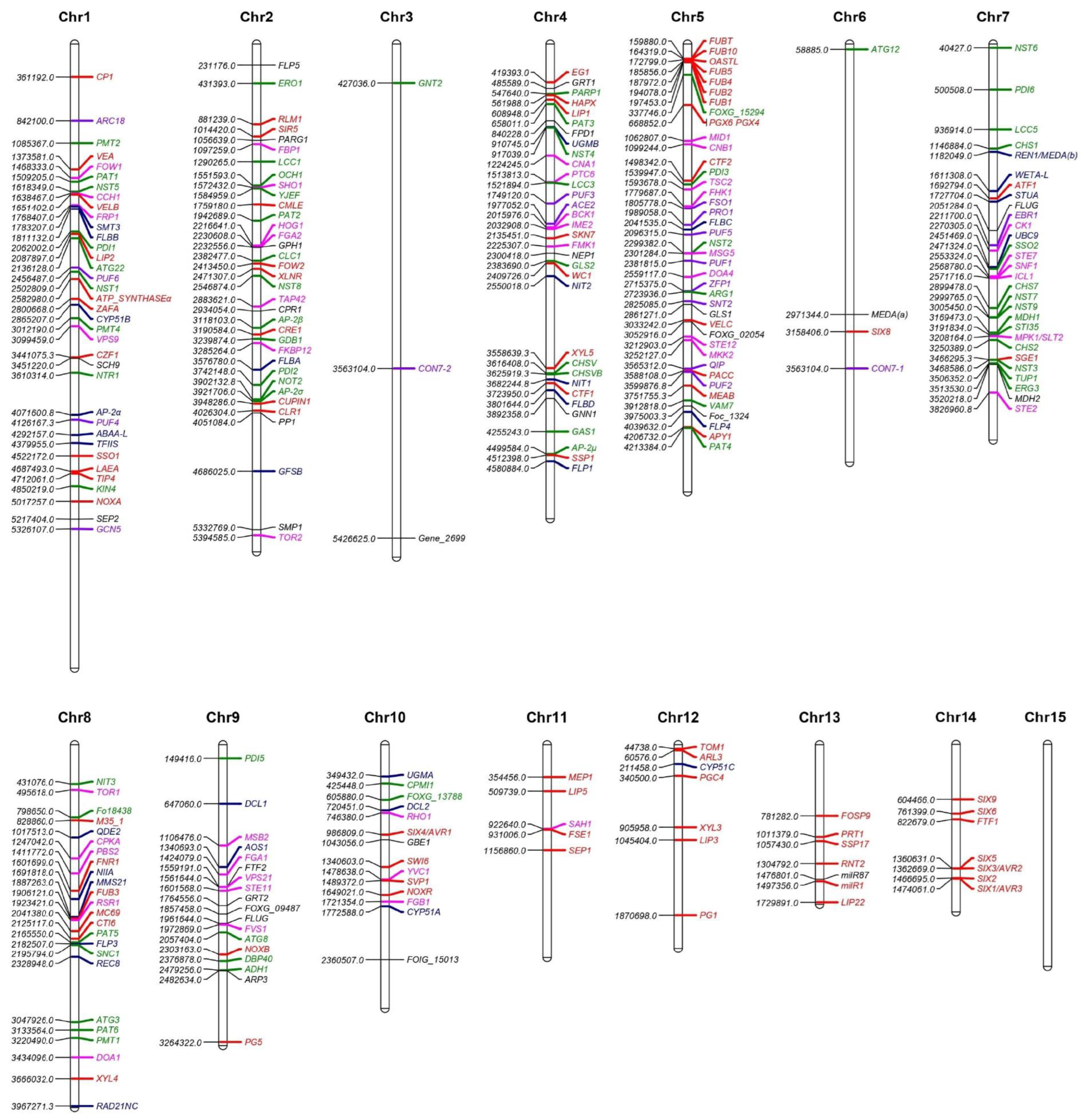 Pathogens 13 00823 g003 Pathogens 13 00823 g003