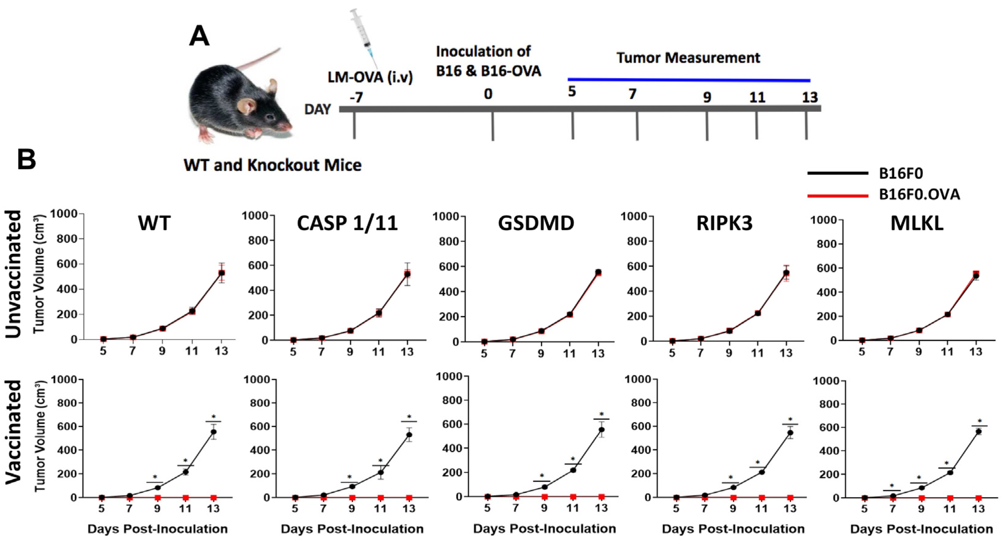 Pathogens 13 00828 g003