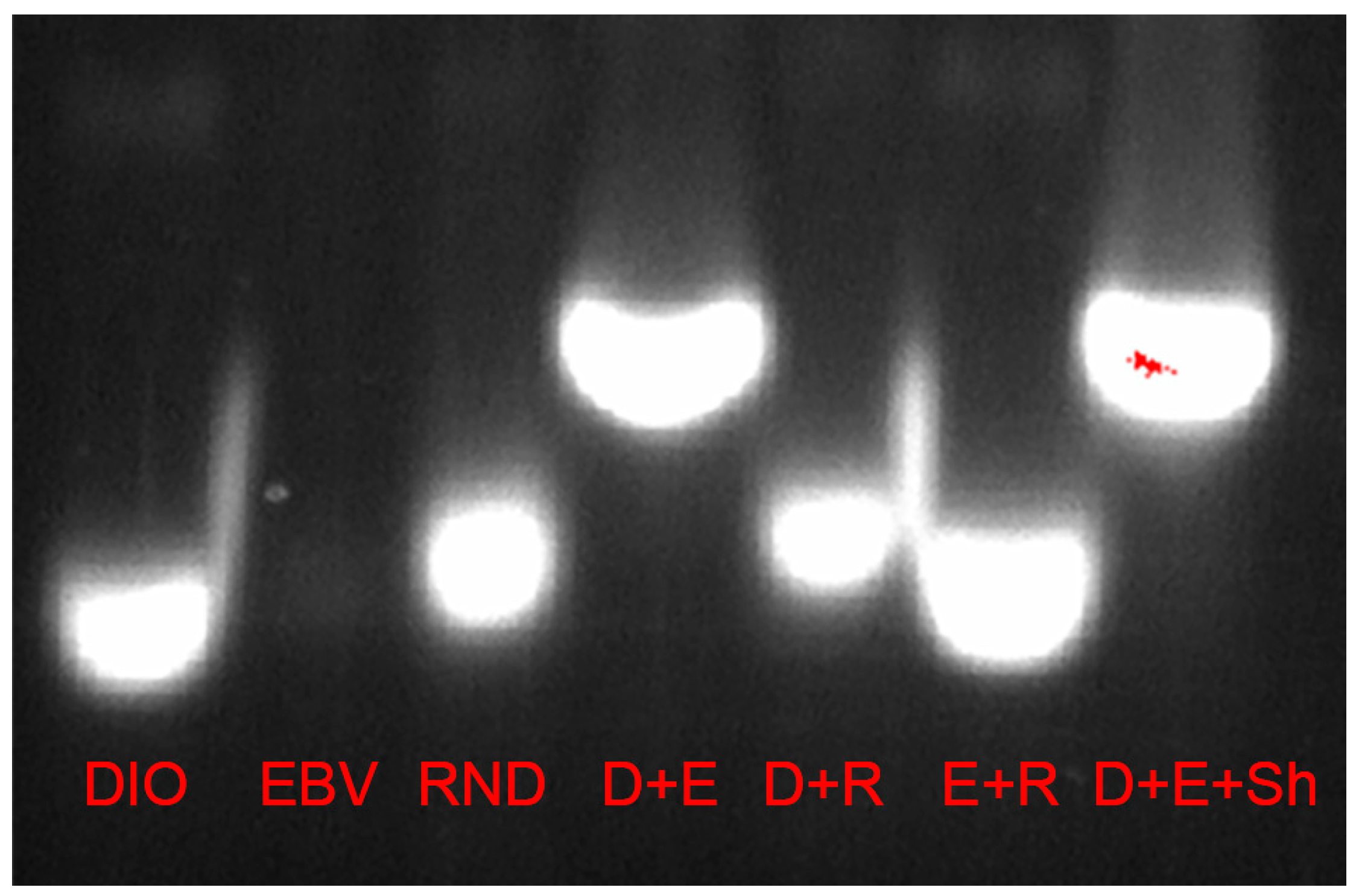 Pathogens 13 00829 g005 Pathogens 13 00829 g005