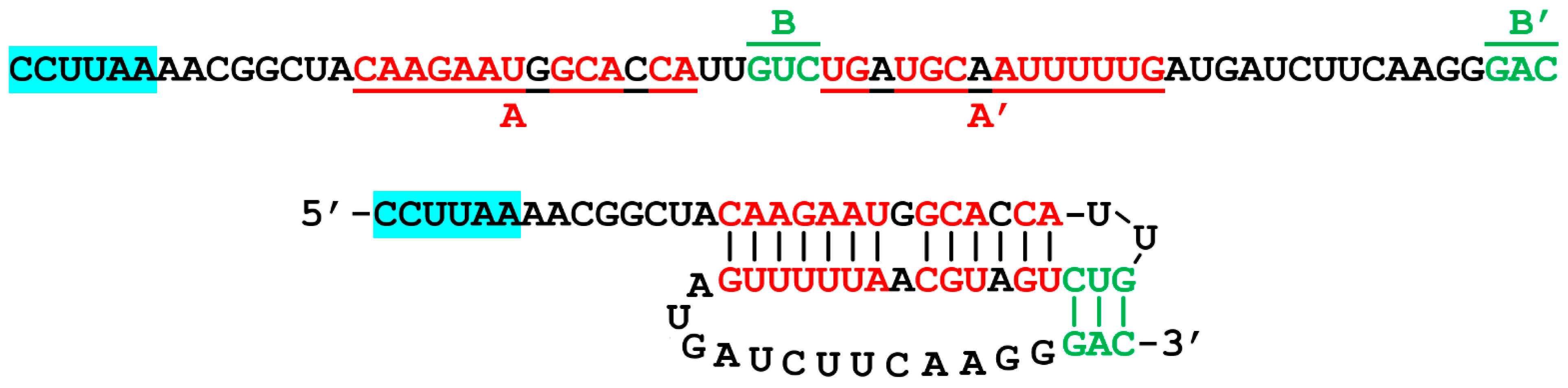 Pathogens 13 00829 g006 Pathogens 13 00829 g006