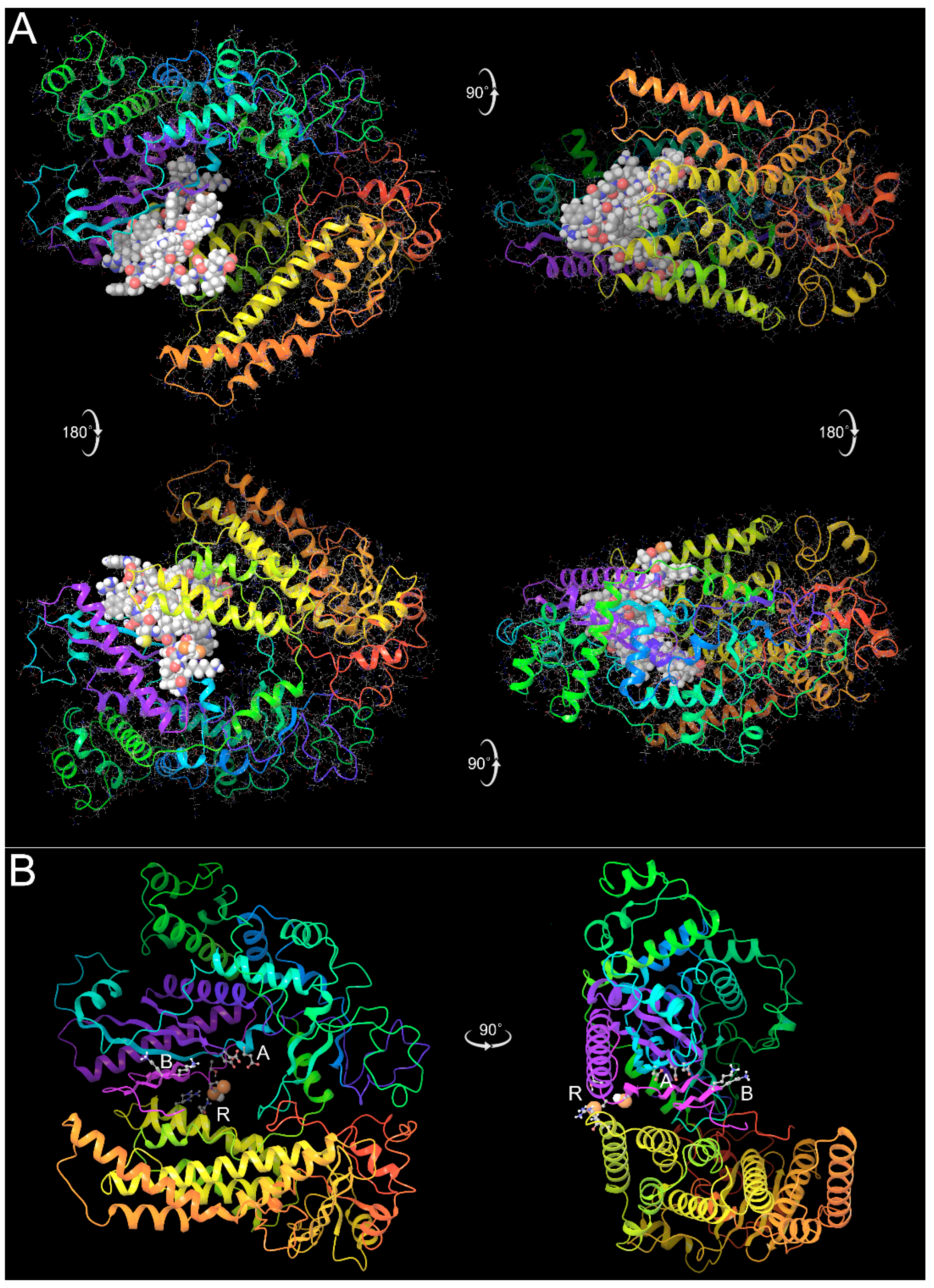 Pathogens 13 00829 g010 Pathogens 13 00829 g010