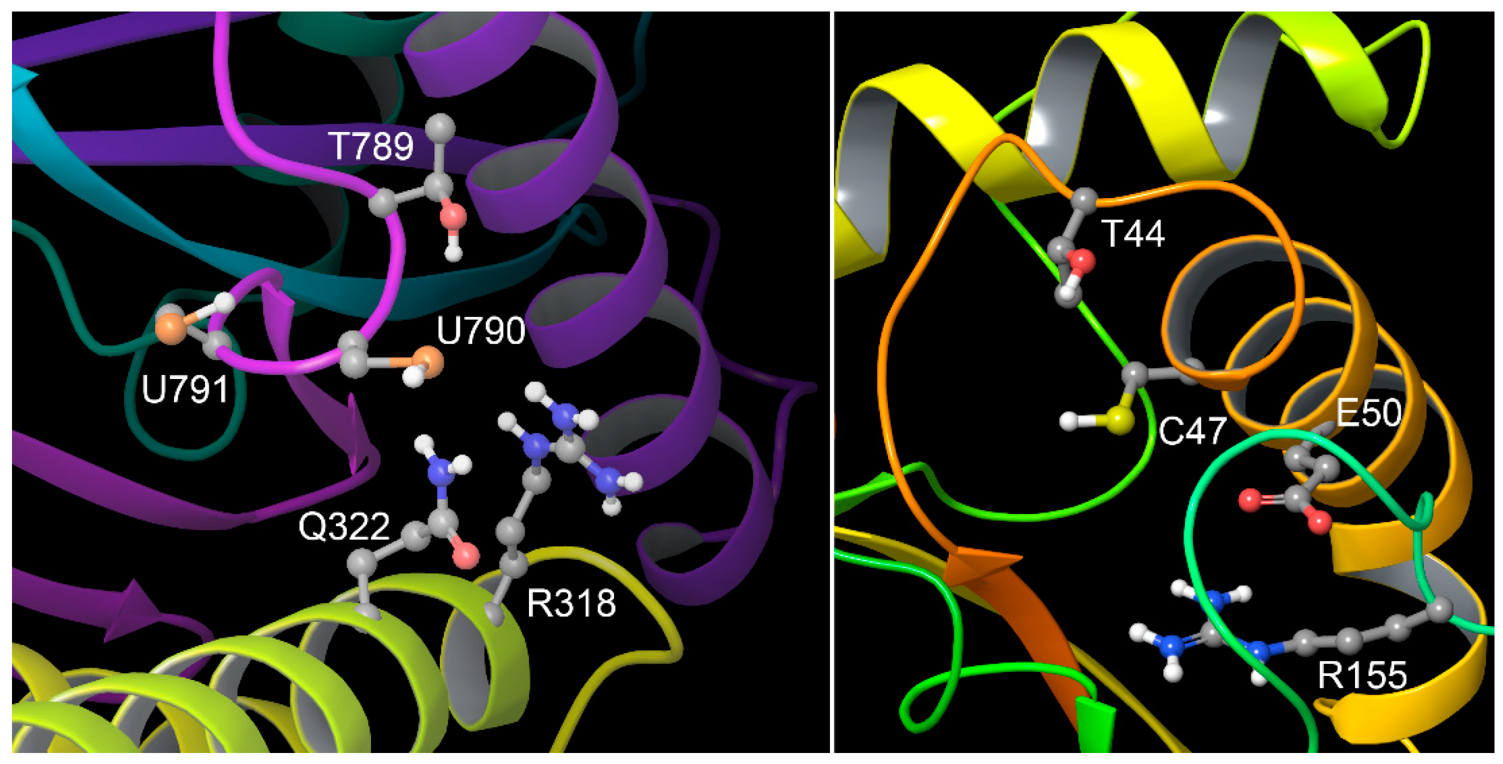 Pathogens 13 00829 g011 Pathogens 13 00829 g011