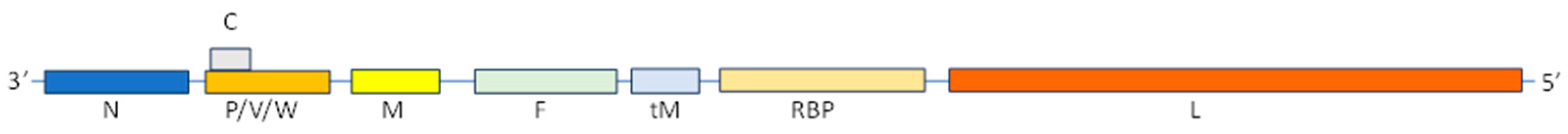 Pathogens 13 00831 g001